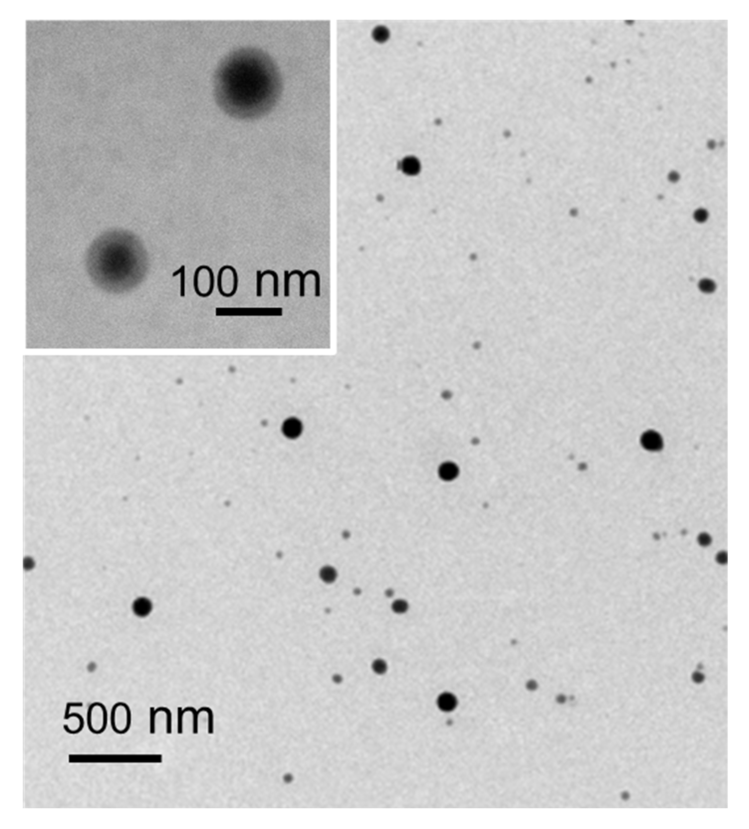 Bioengineering 10 00193 g003