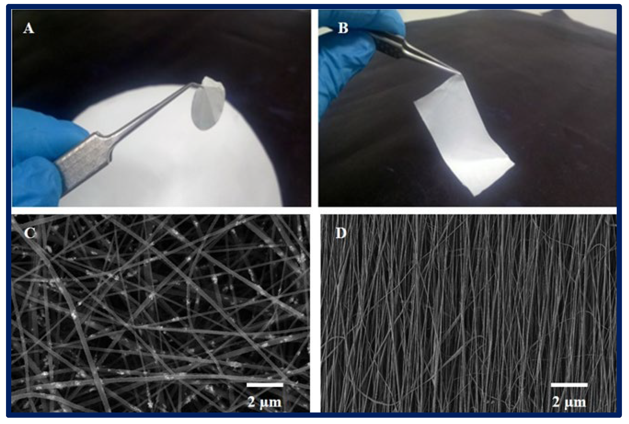 Bioengineering 10 00218 g004 Bioengineering 10 00218 g004