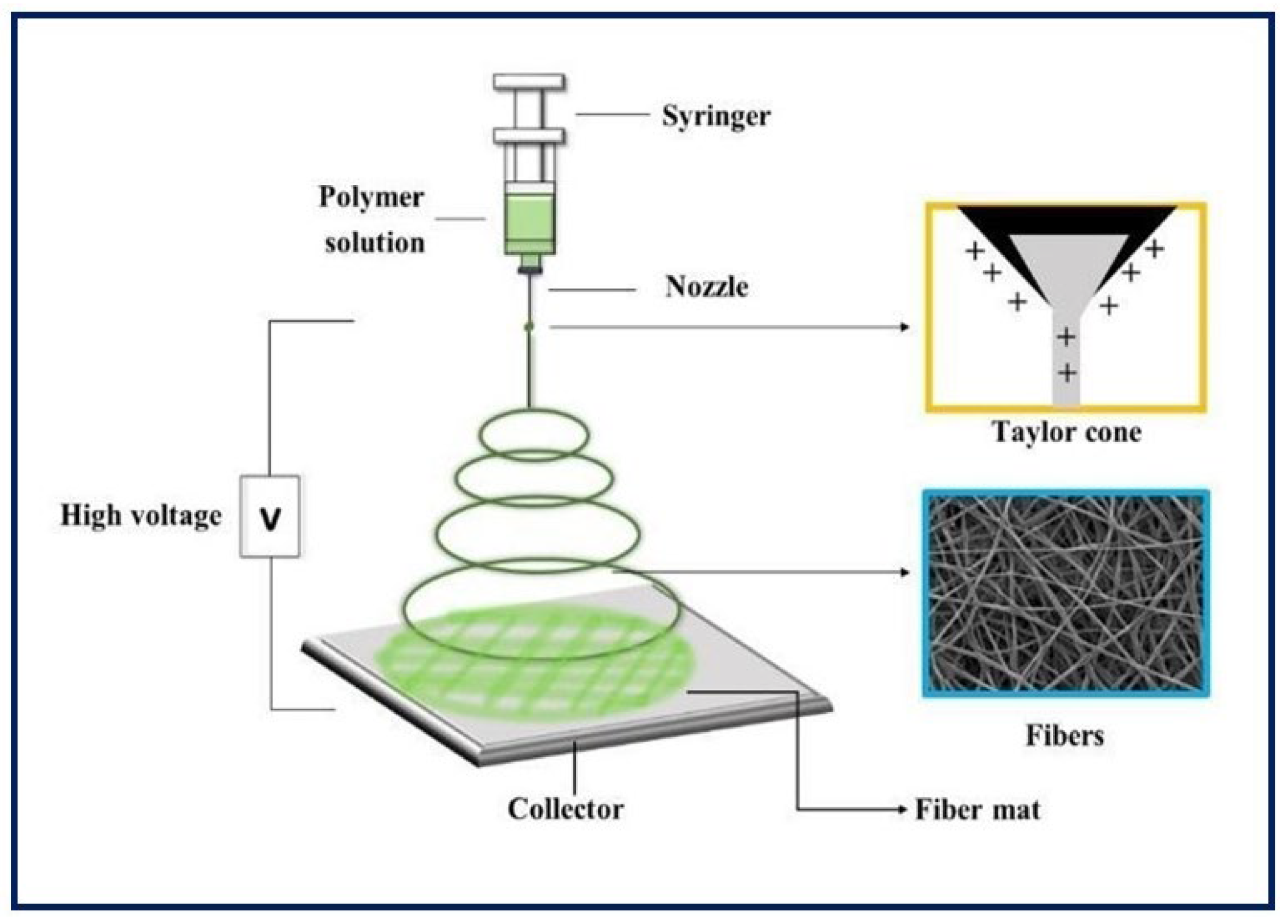Bioengineering 10 00218 g007 Bioengineering 10 00218 g007