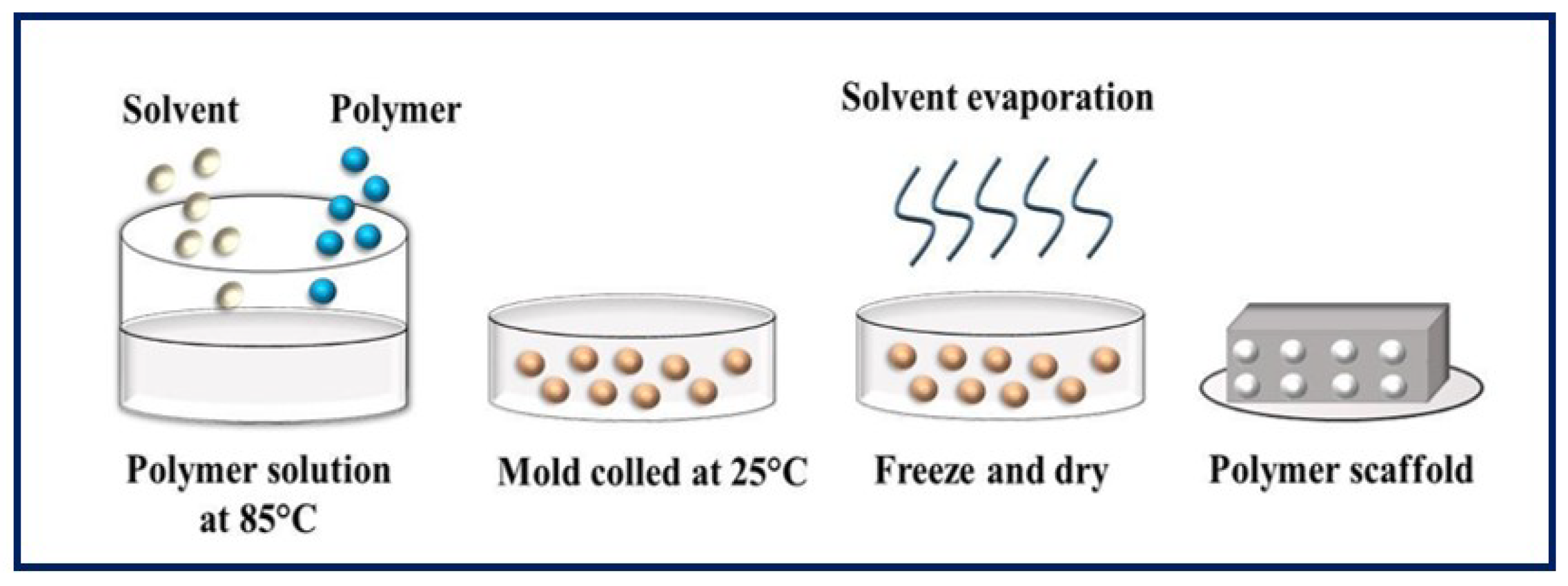 Bioengineering 10 00218 g009 Bioengineering 10 00218 g009