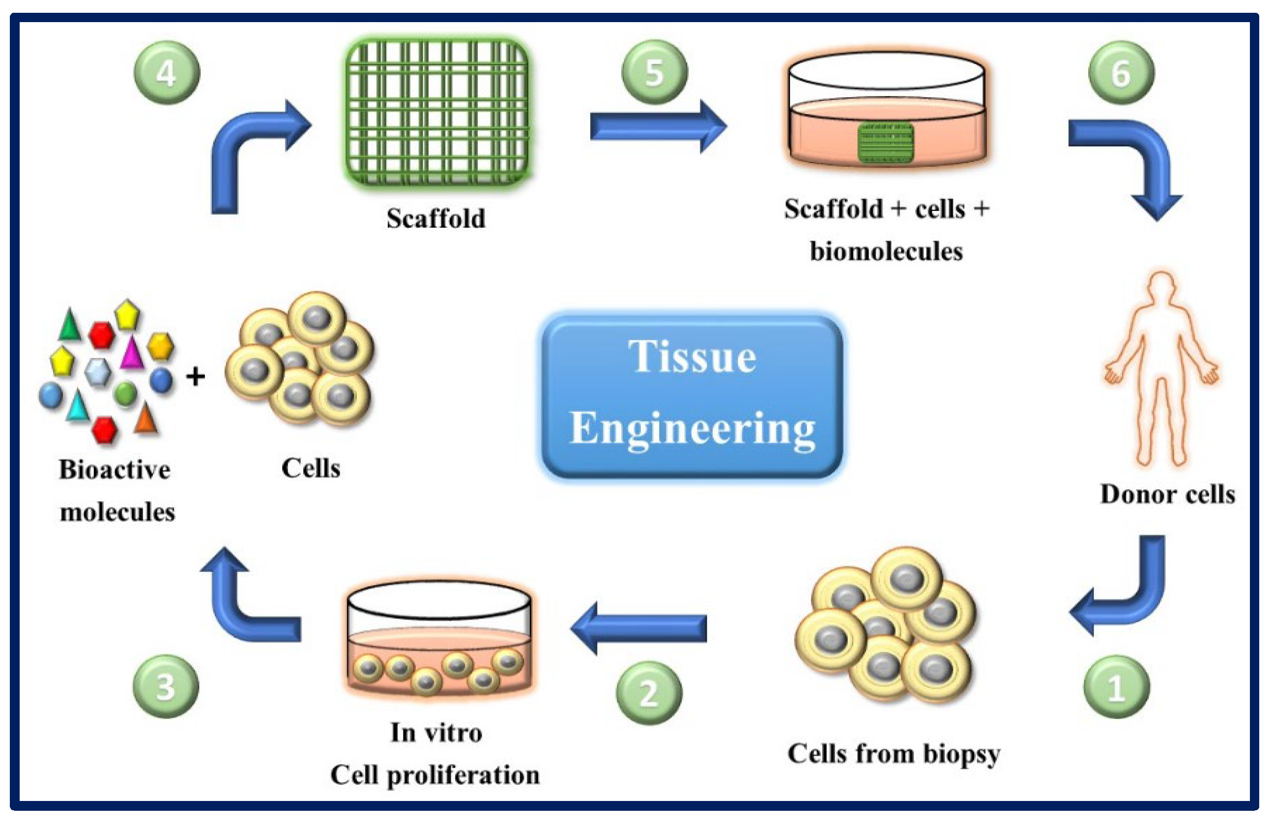 Bioengineering 10 00218 g015 Bioengineering 10 00218 g015