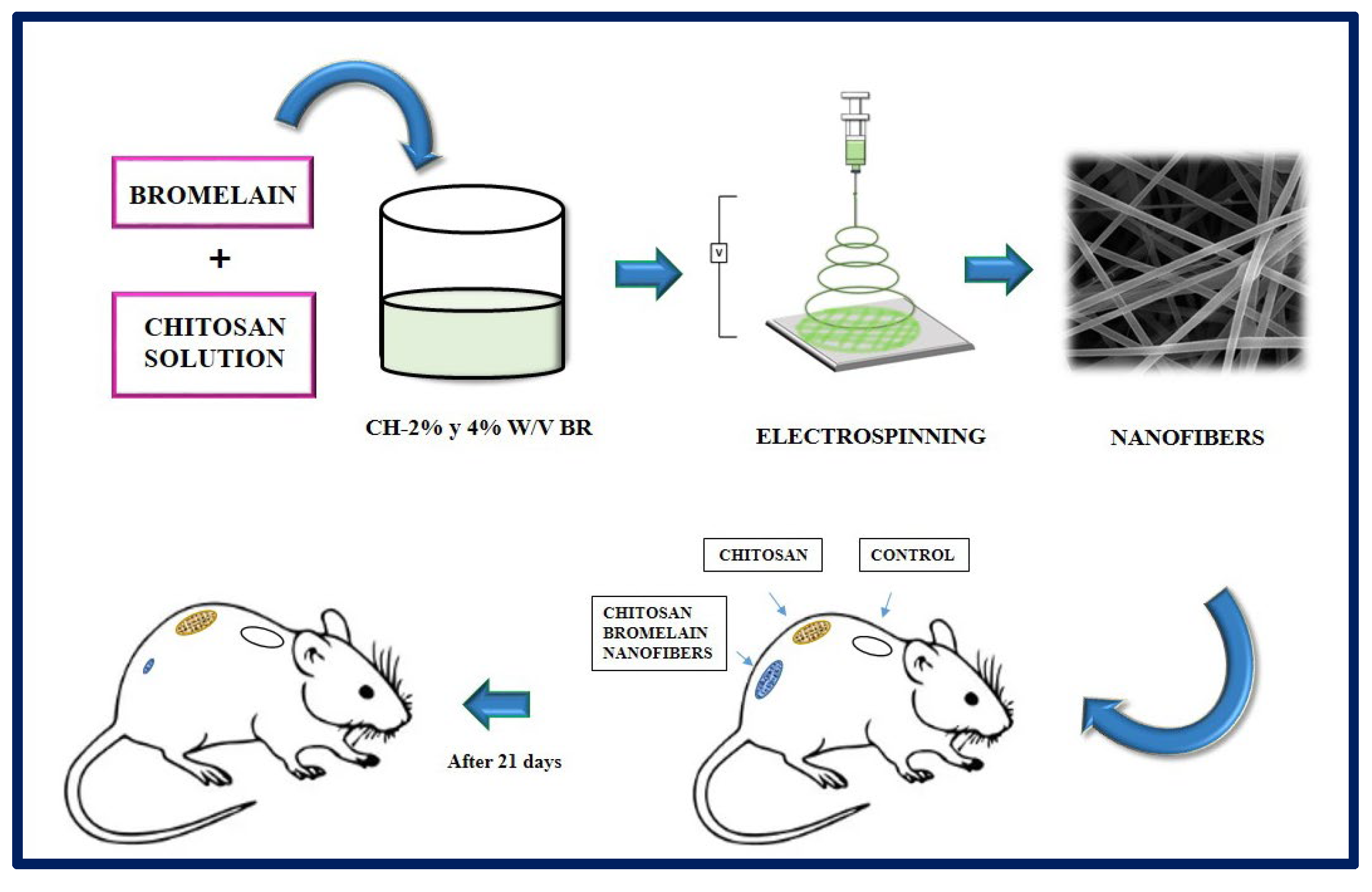 Bioengineering 10 00218 g016 Bioengineering 10 00218 g016