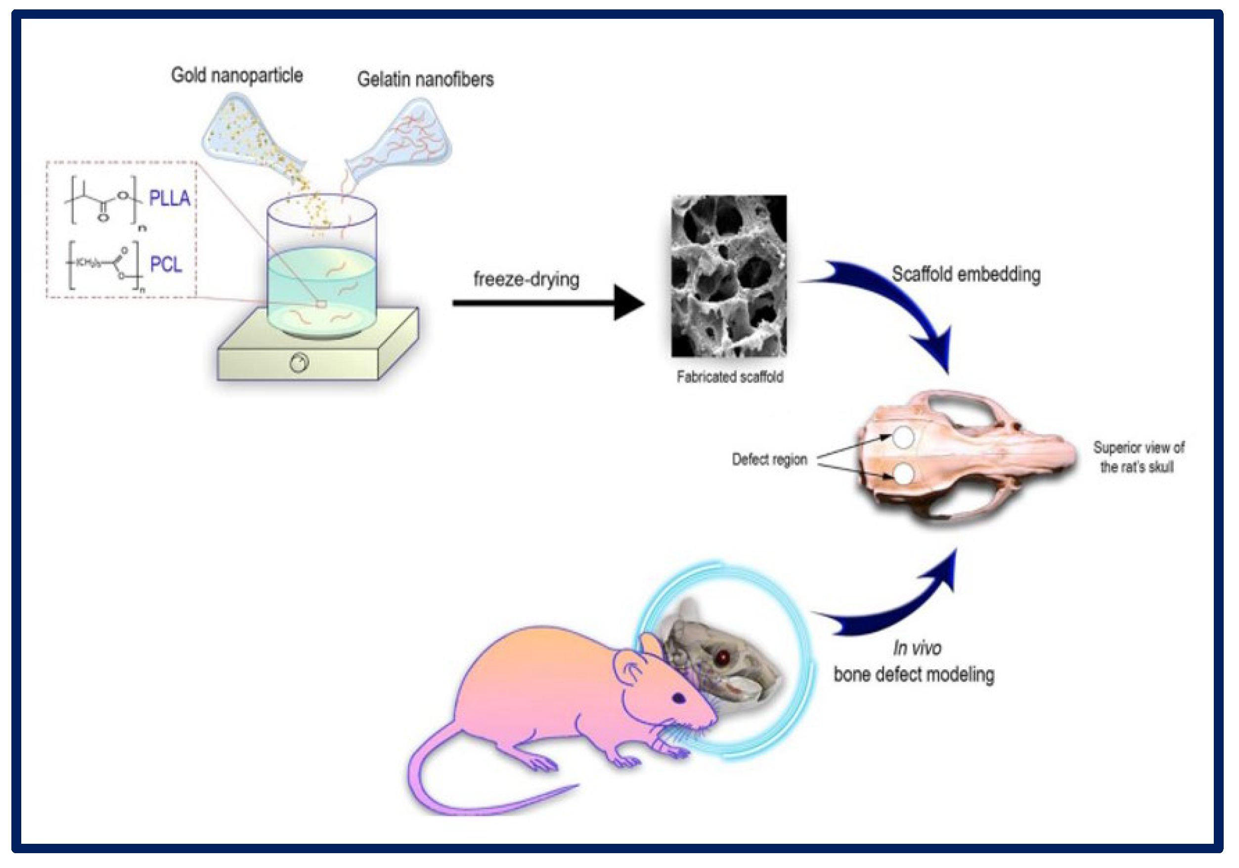 Bioengineering 10 00218 g017 Bioengineering 10 00218 g017