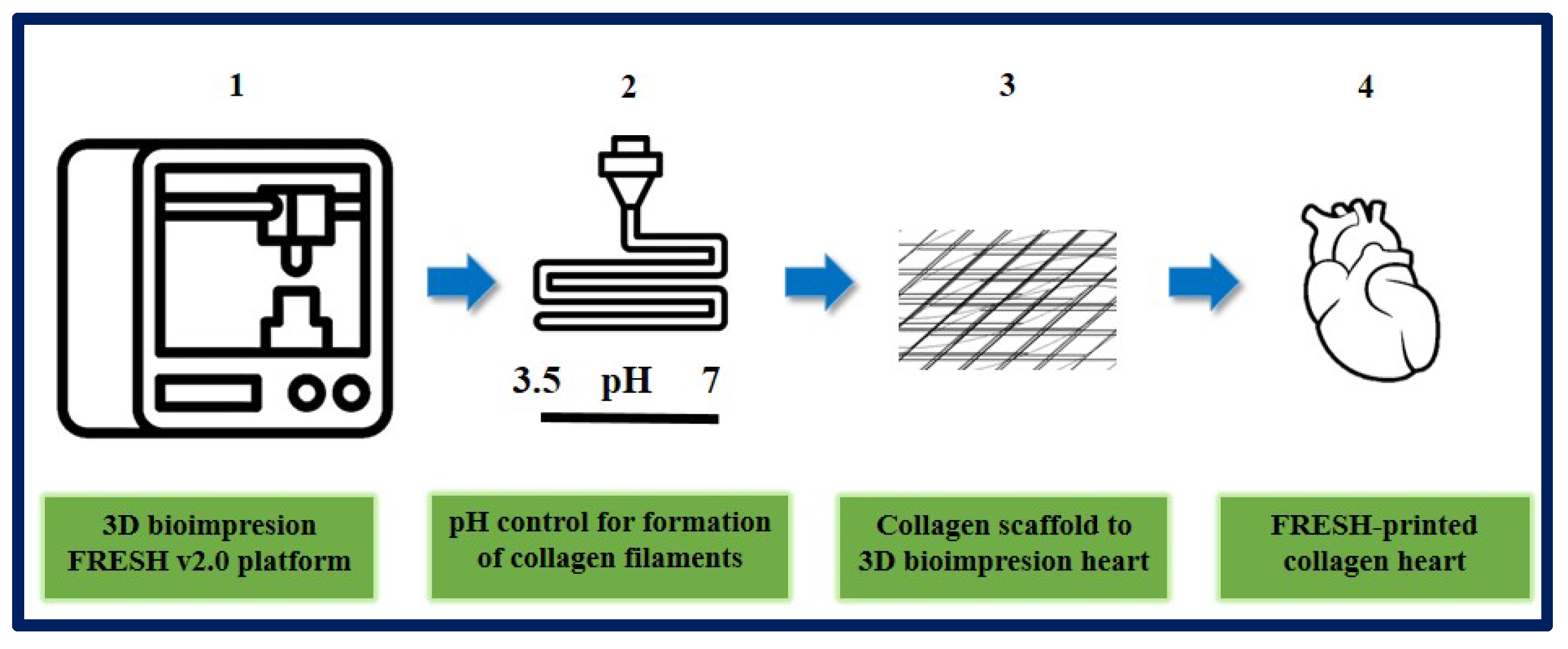 Bioengineering 10 00218 g021 Bioengineering 10 00218 g021