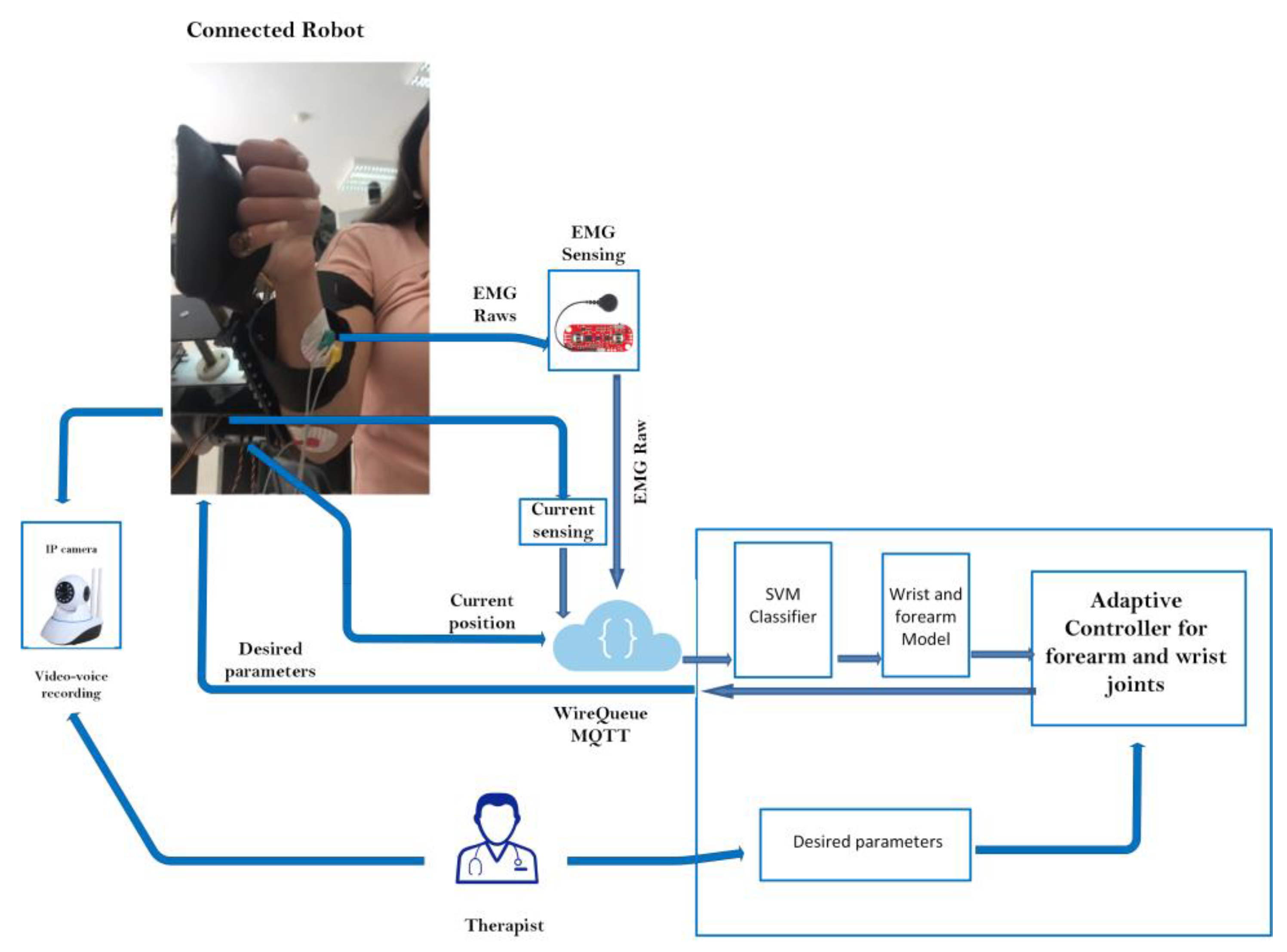 Bioengineering 10 00219 g004
