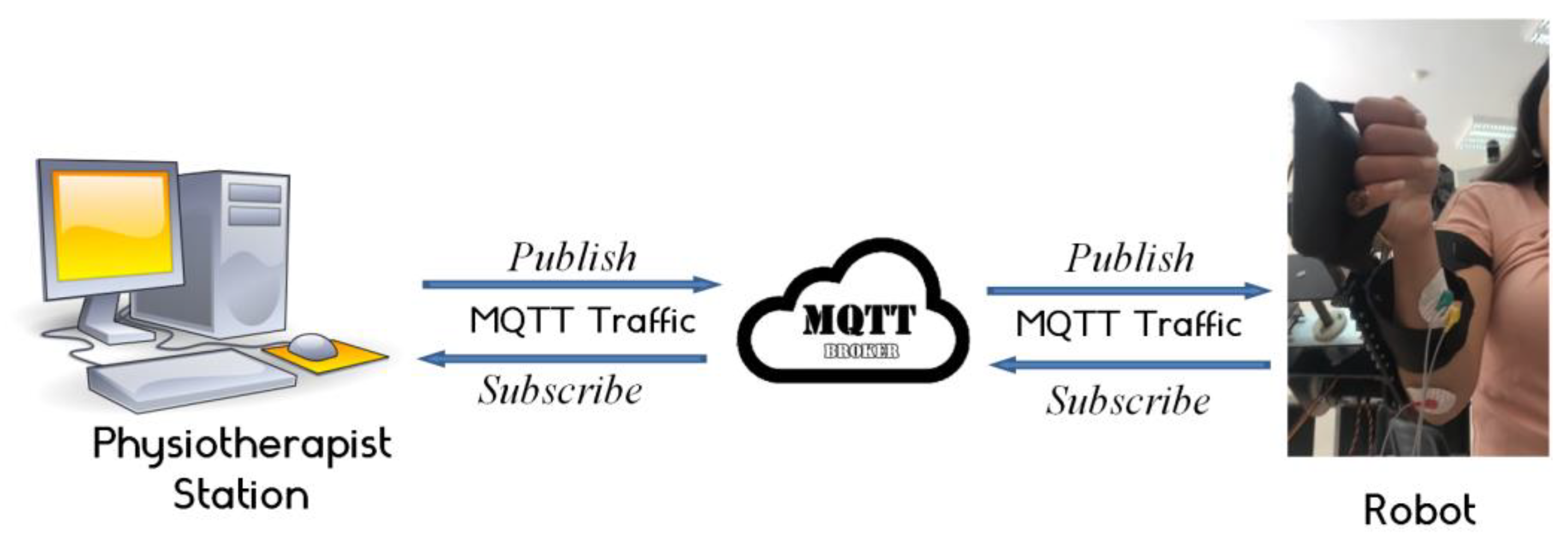 Bioengineering 10 00219 g012