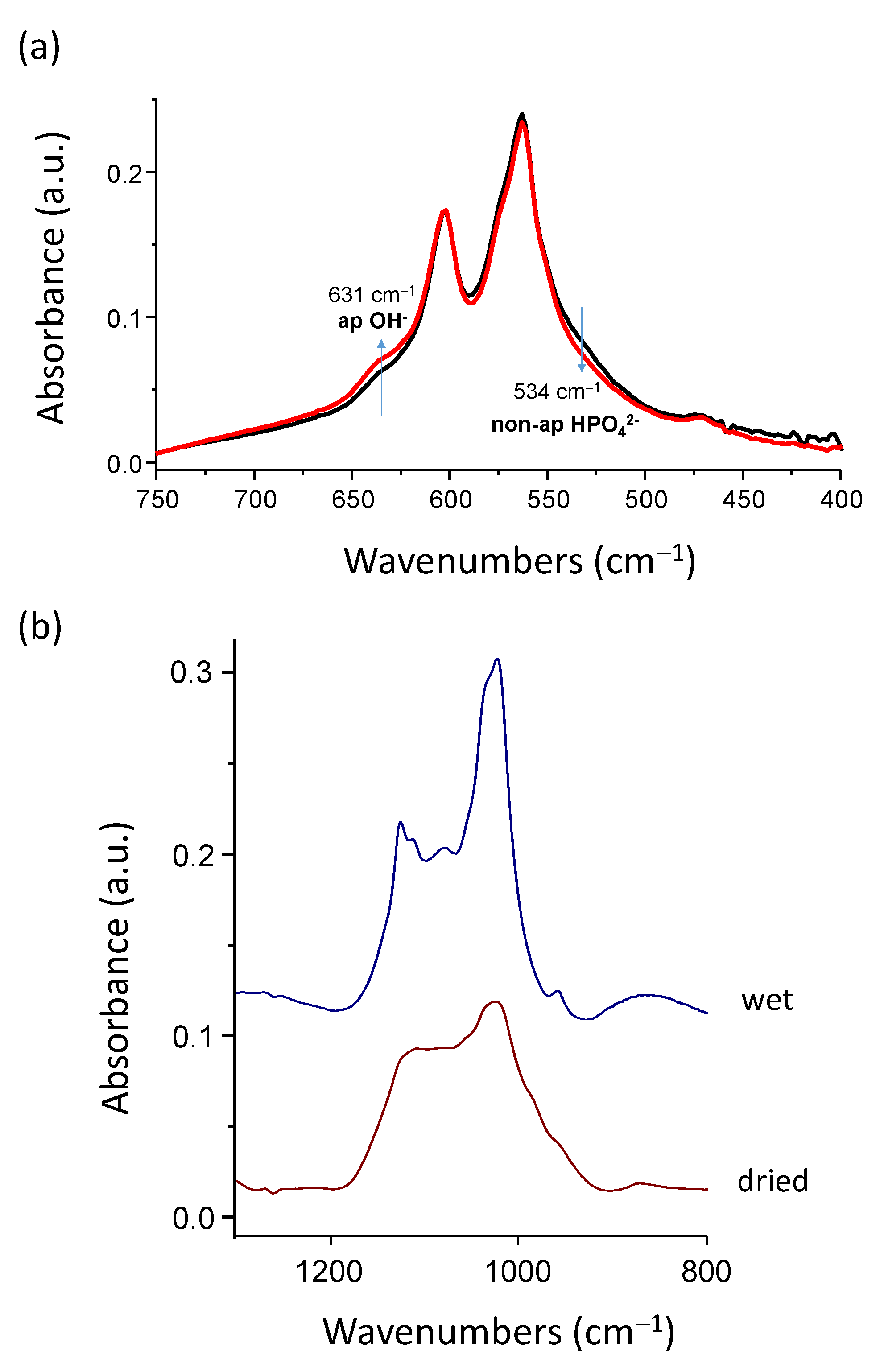 Bioengineering 10 00220 g003 Bioengineering 10 00220 g003