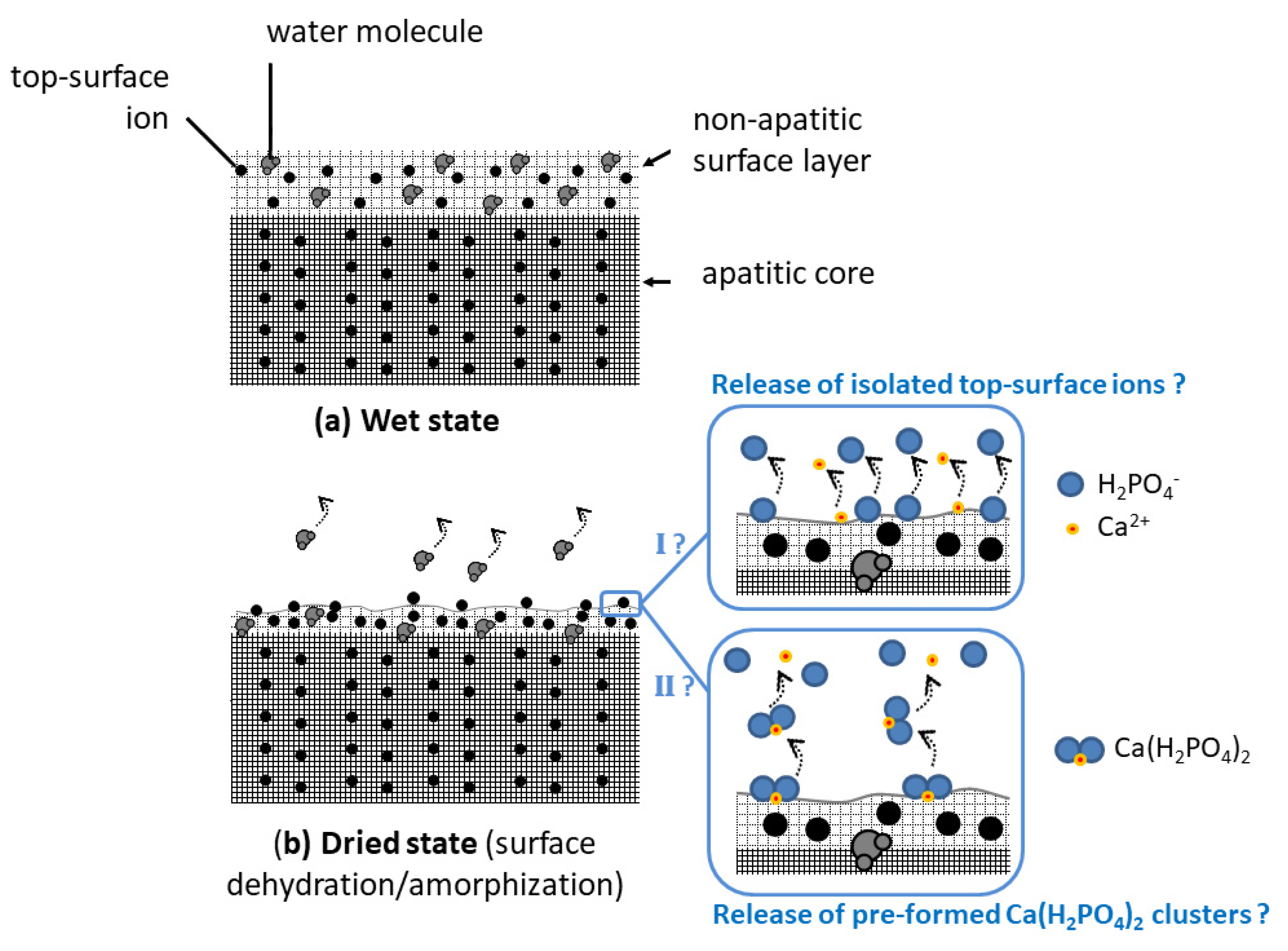 Bioengineering 10 00220 g004 Bioengineering 10 00220 g004