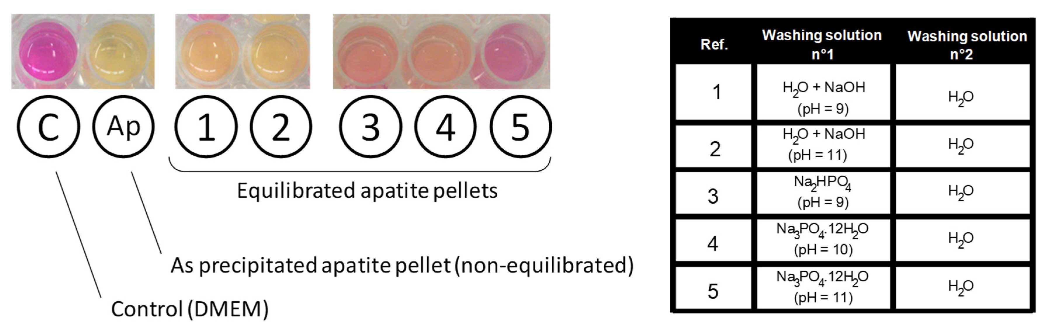 Bioengineering 10 00220 g005 Bioengineering 10 00220 g005