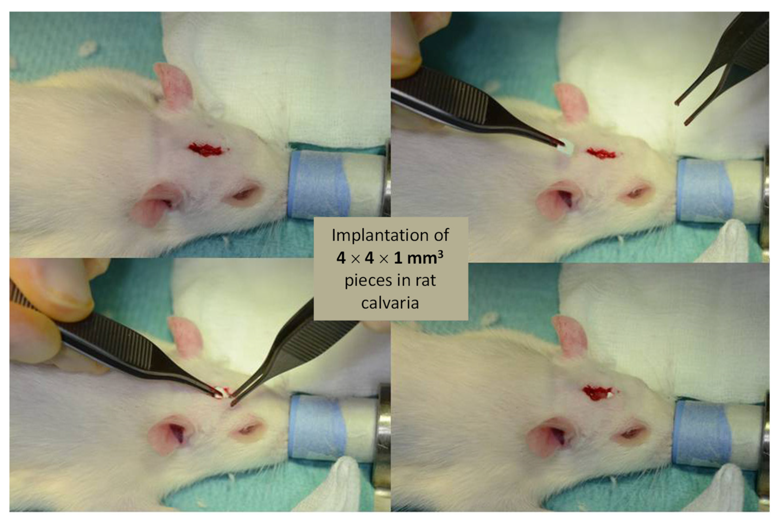 Bioengineering 10 00220 g011 Bioengineering 10 00220 g011