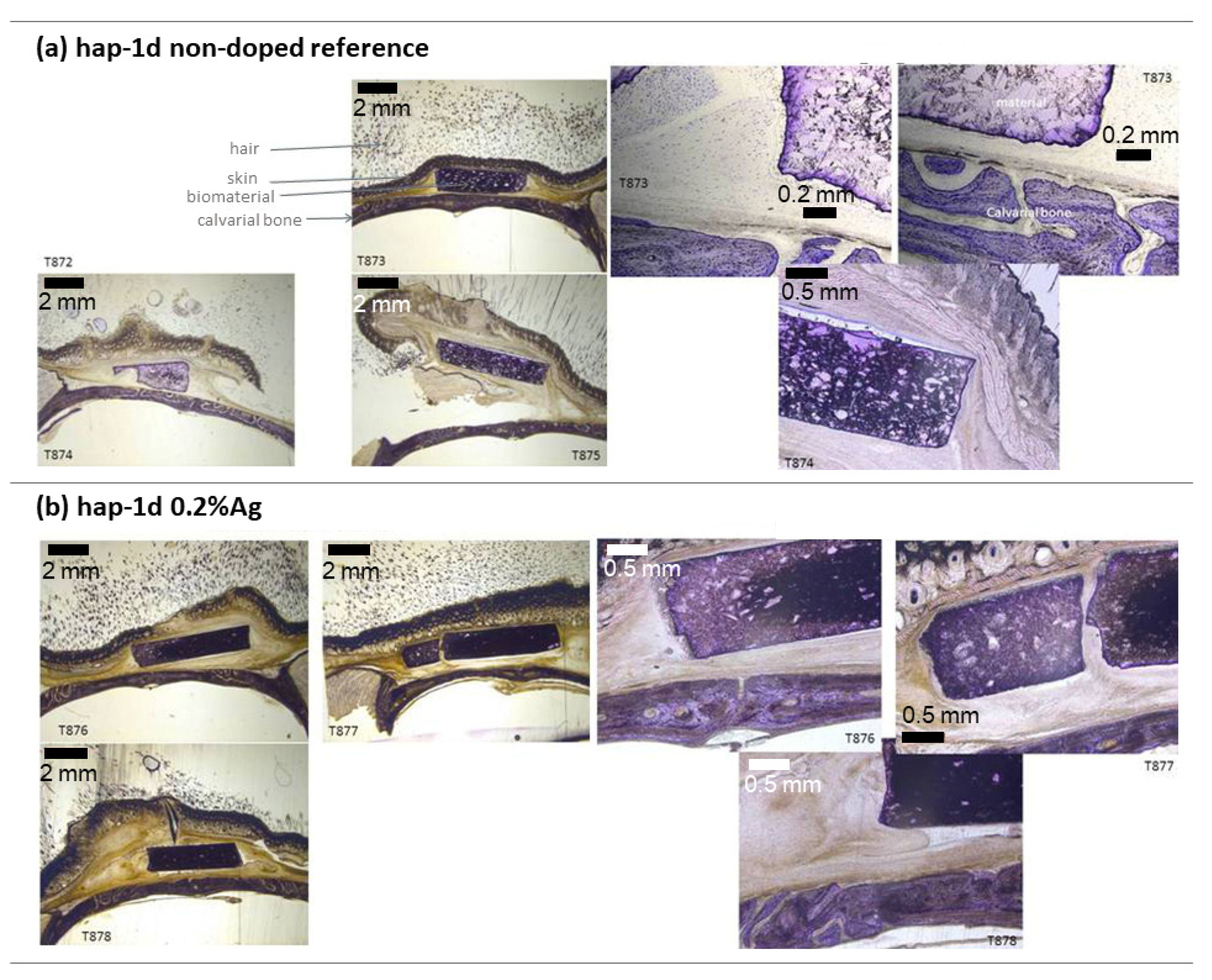 Bioengineering 10 00220 g012 Bioengineering 10 00220 g012