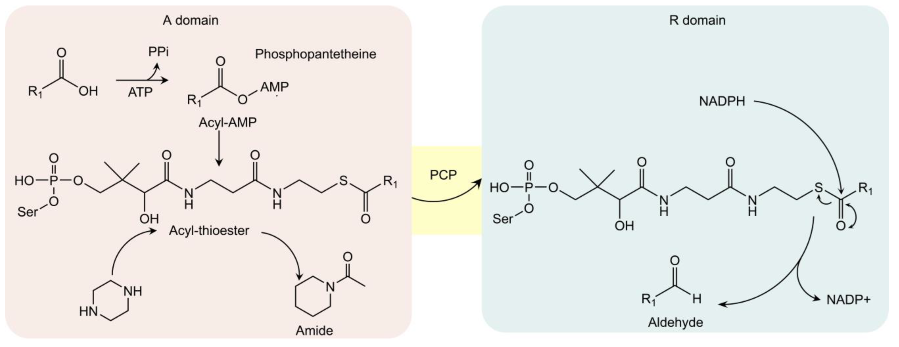 Bioengineering 10 00222 g003
