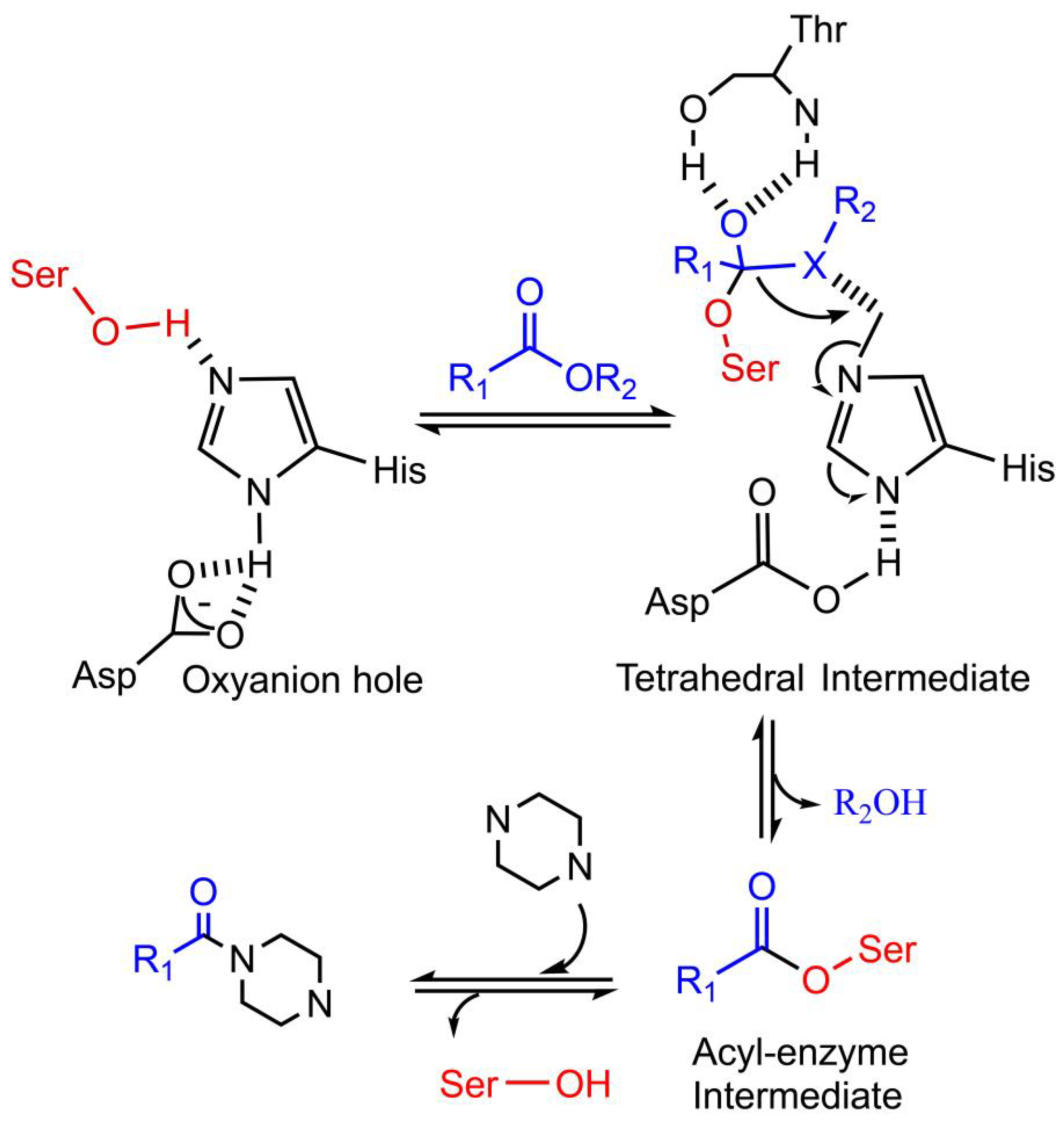 Bioengineering 10 00222 g004