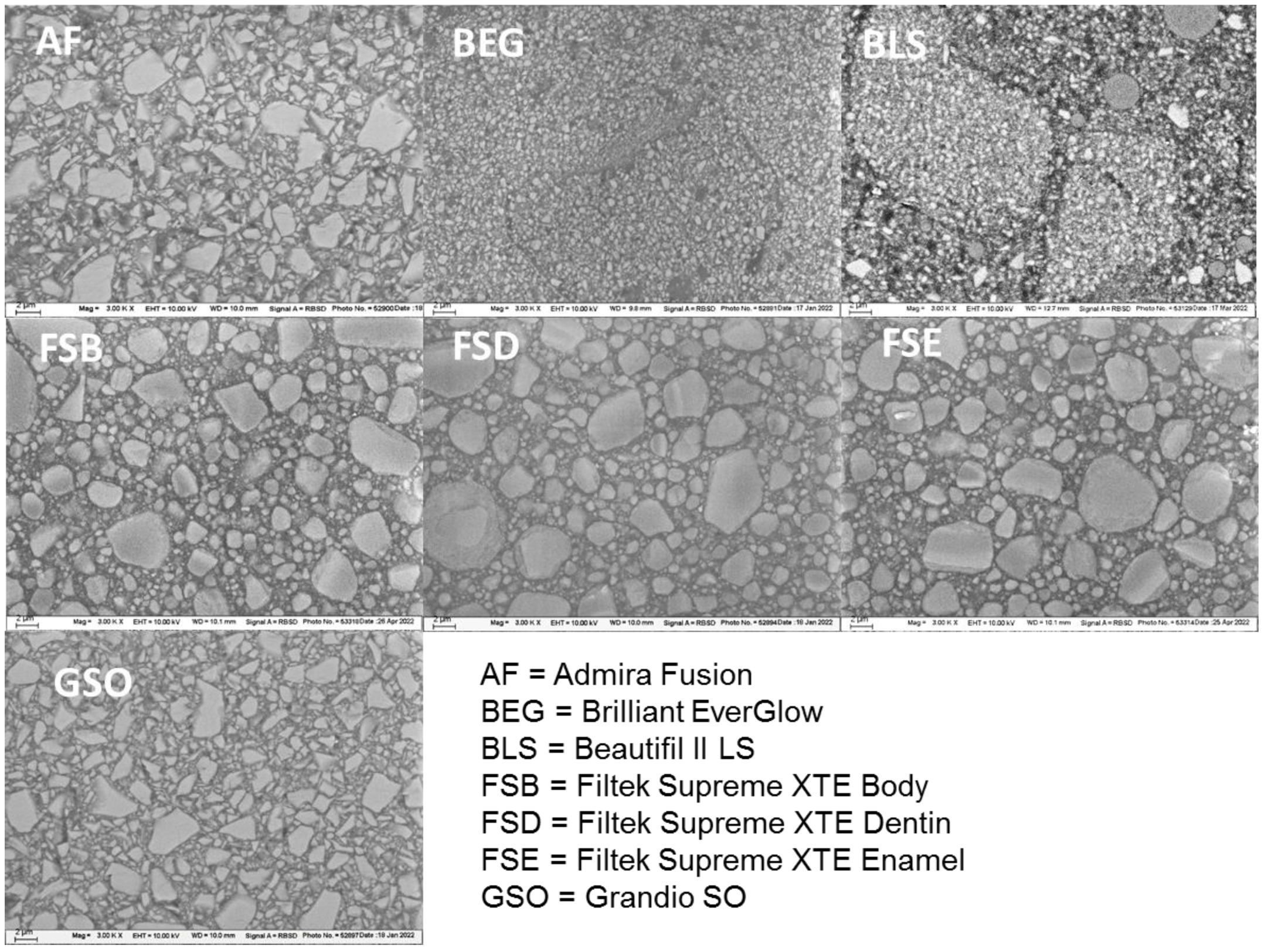 Bioengineering 10 00235 g006
