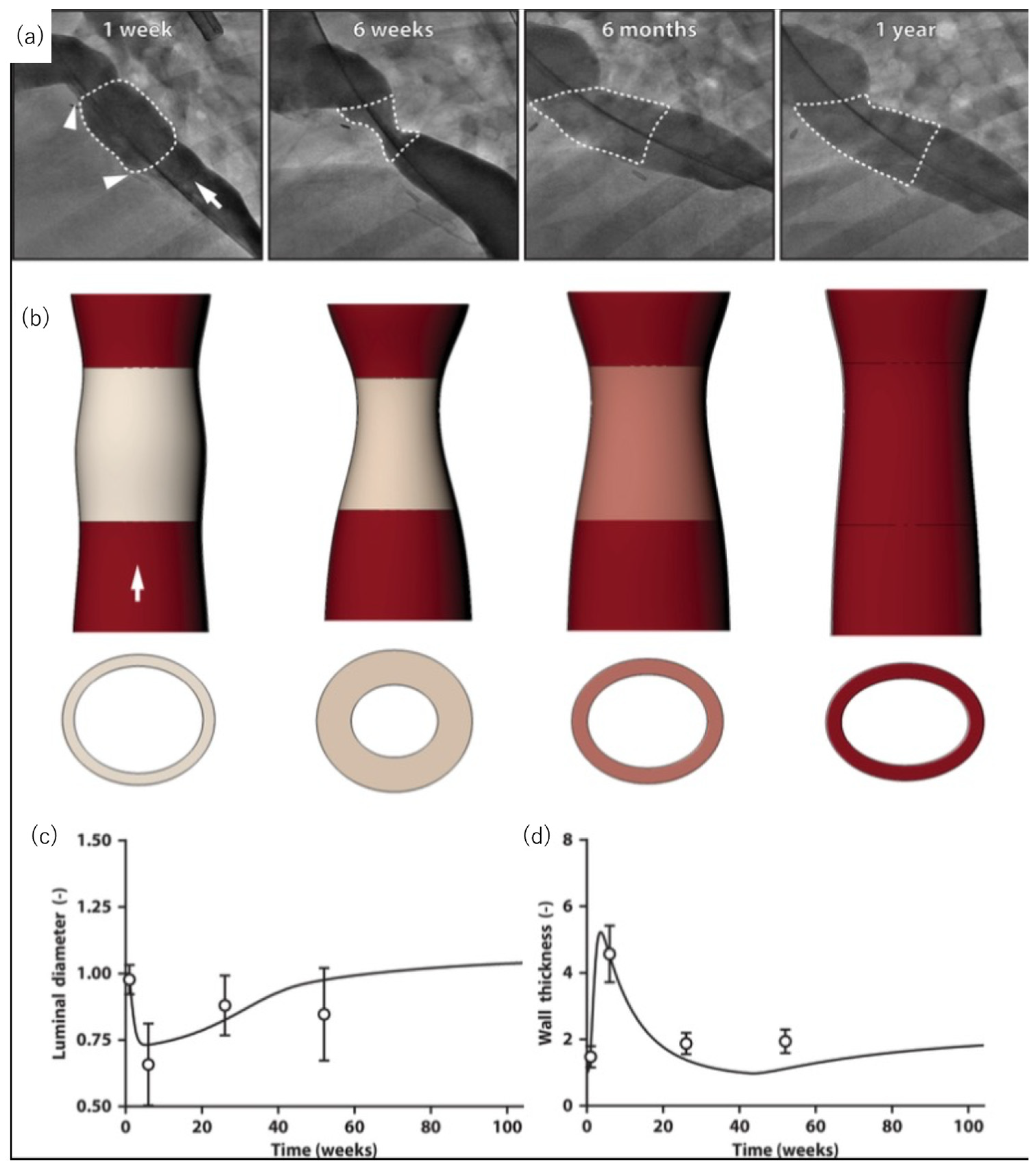 Bioengineering 10 00236 g003