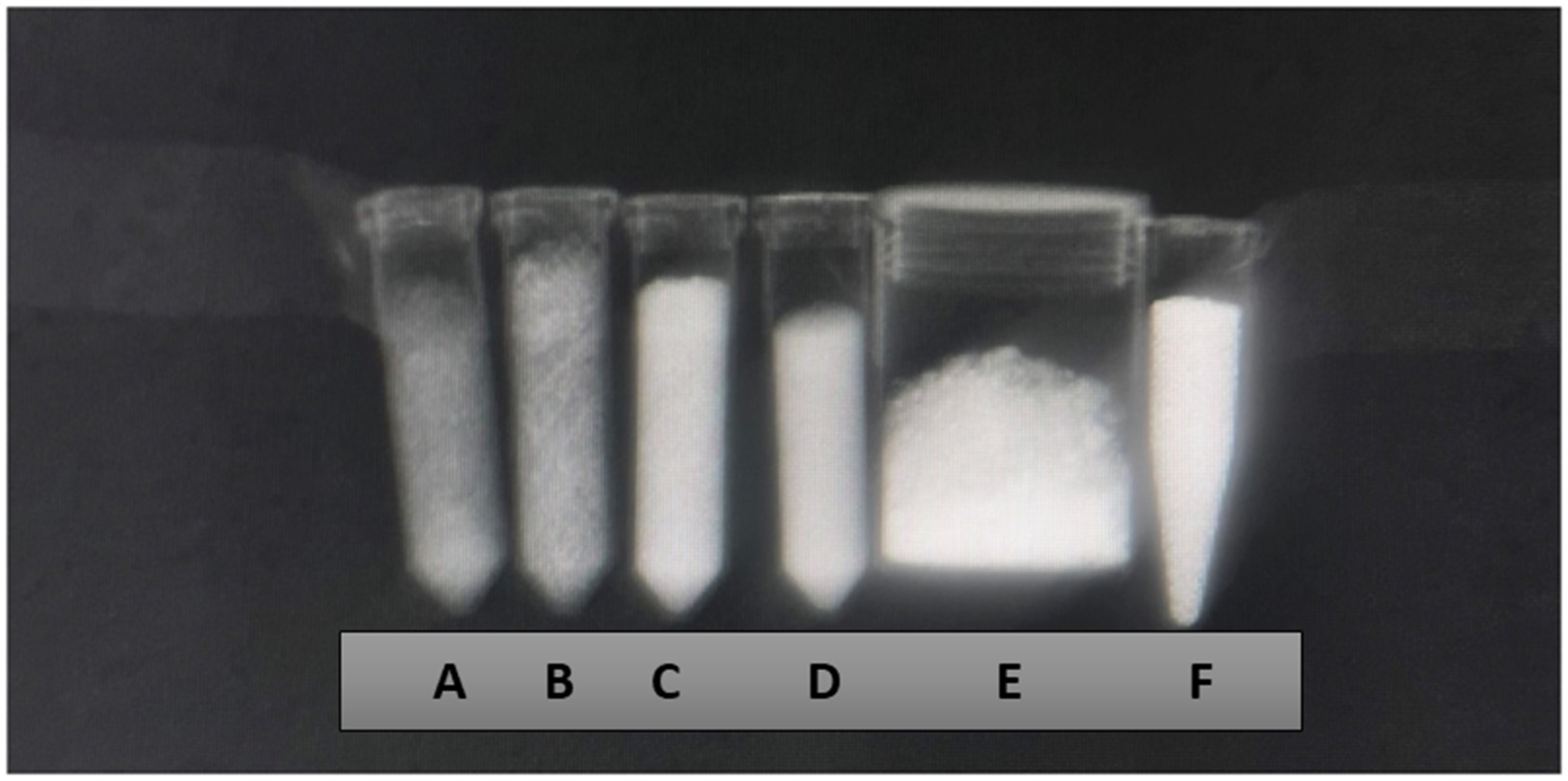 Bioengineering 10 00238 g001