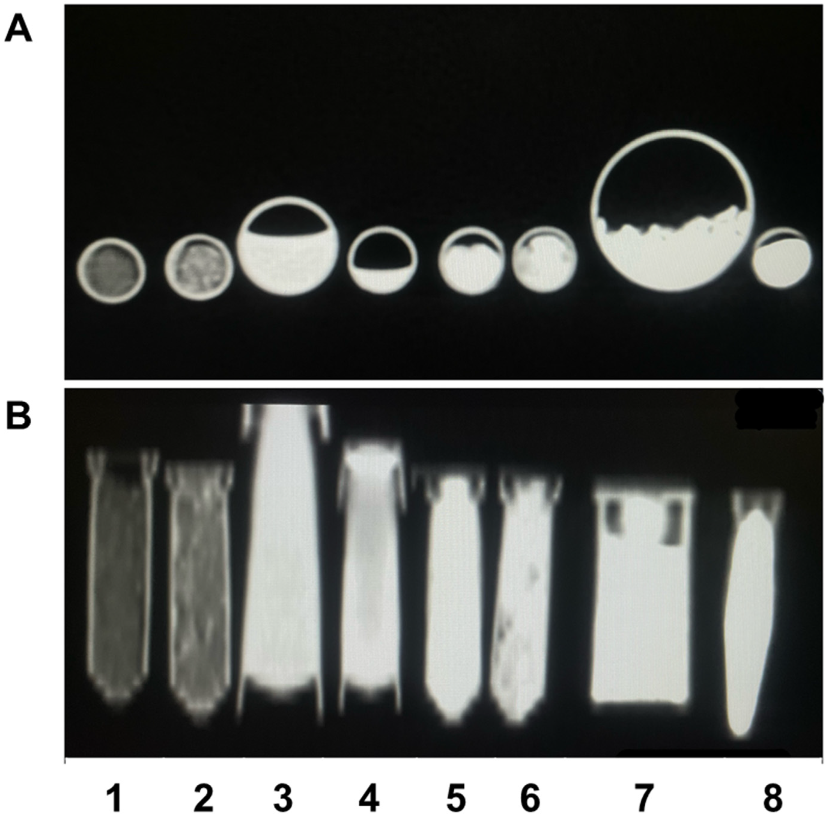 Bioengineering 10 00238 g002