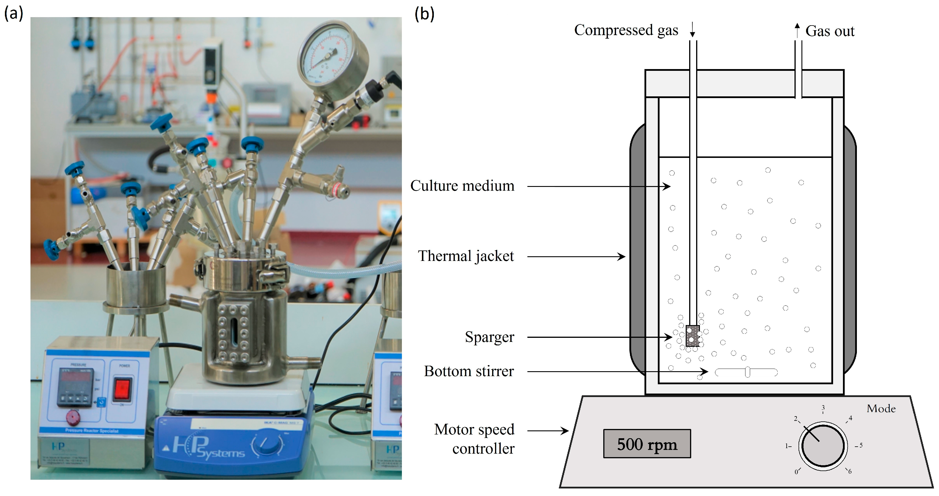 Bioengineering 10 00246 g001 Bioengineering 10 00246 g001