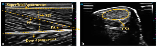 Bioengineering 10 00264 g003