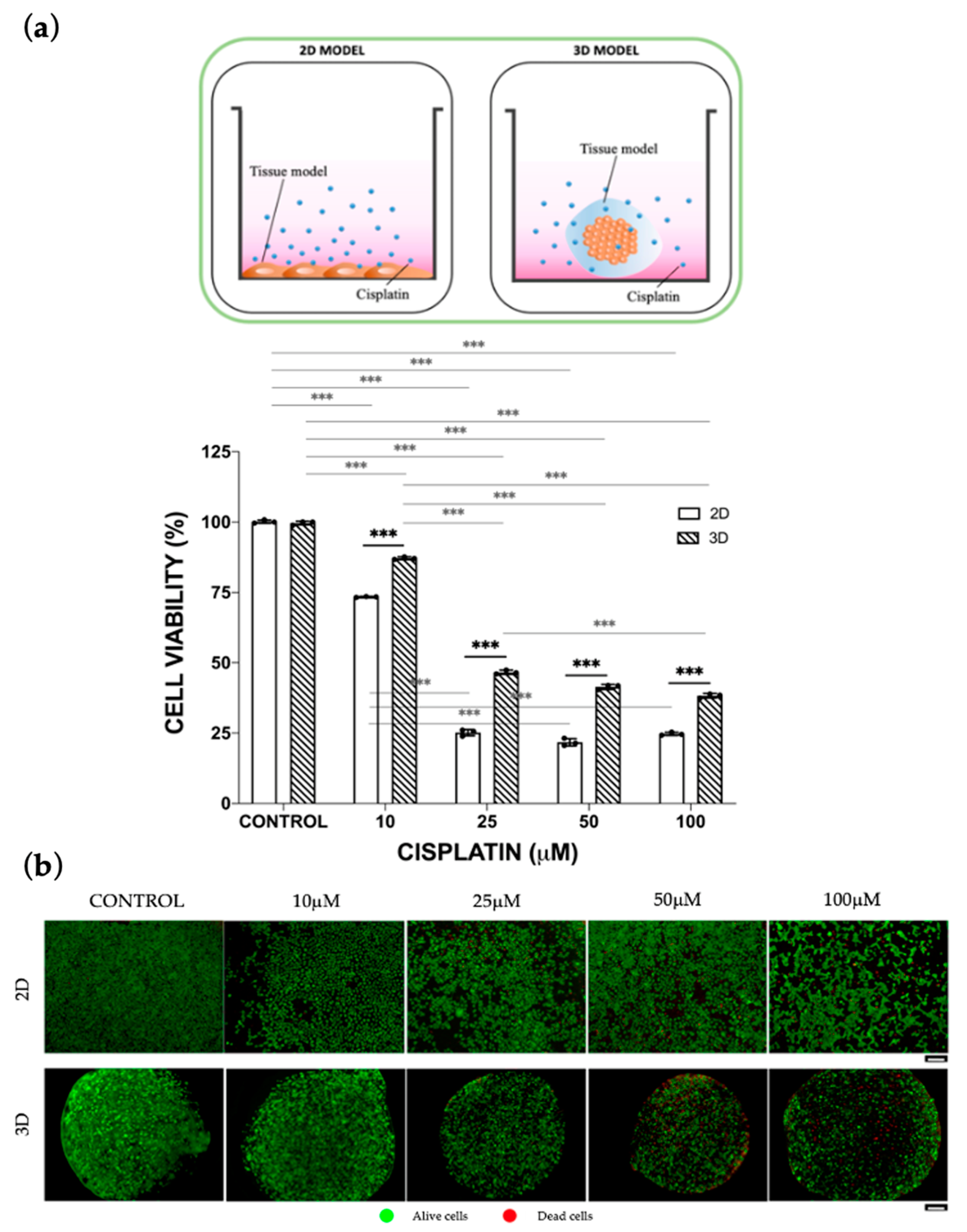 Bioengineering 10 00270 g001
