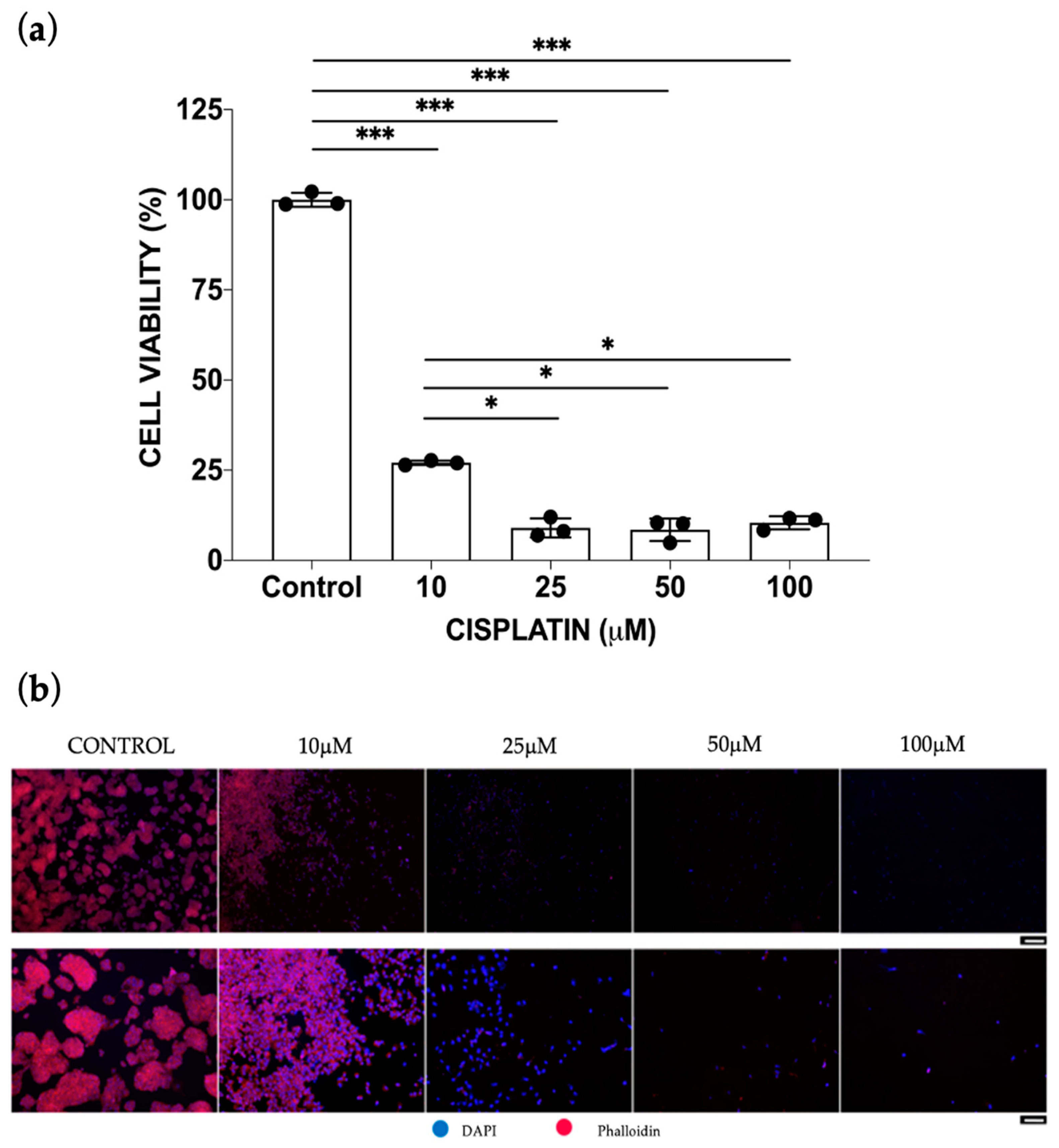Bioengineering 10 00270 g002