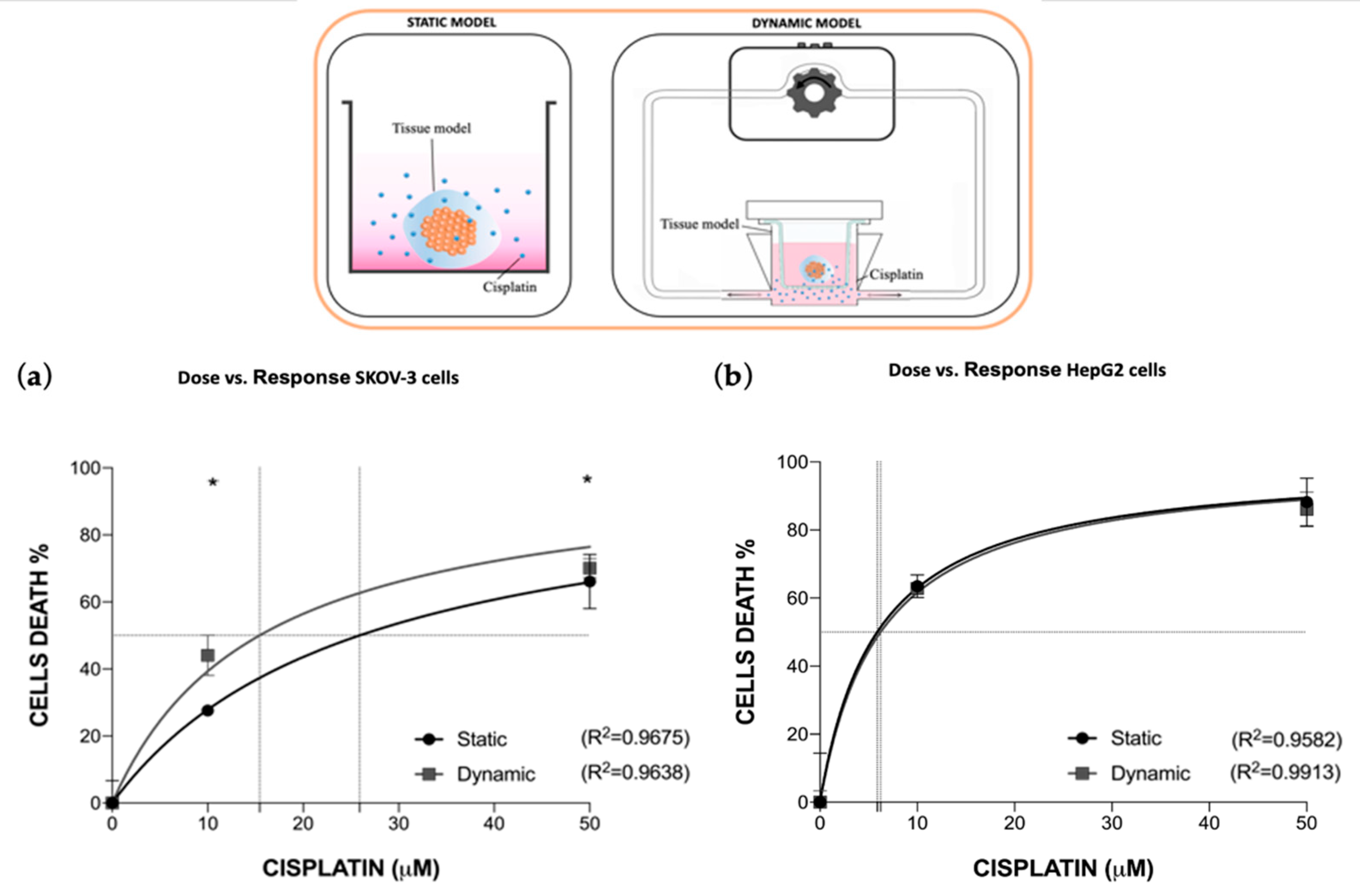 Bioengineering 10 00270 g005