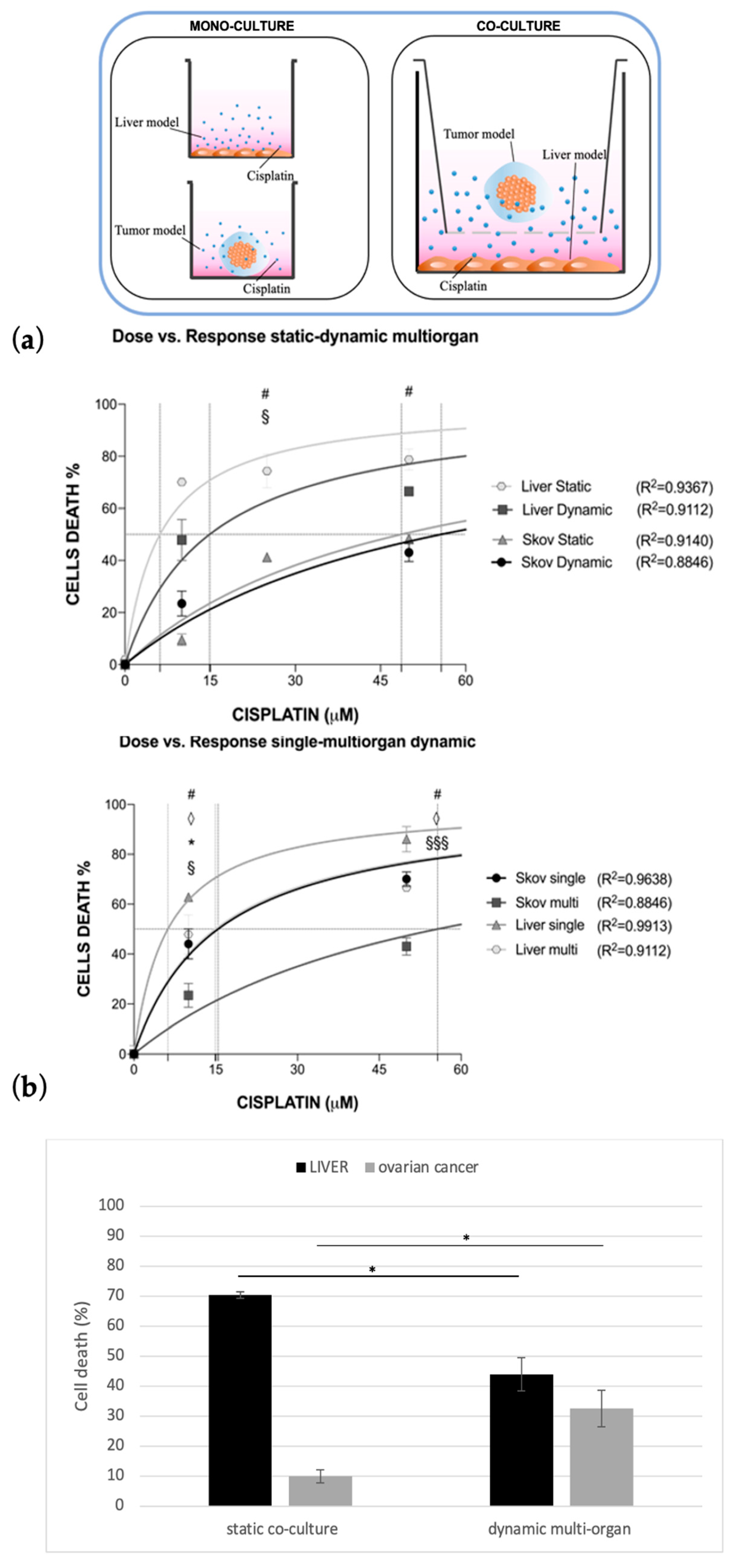 Bioengineering 10 00270 g007