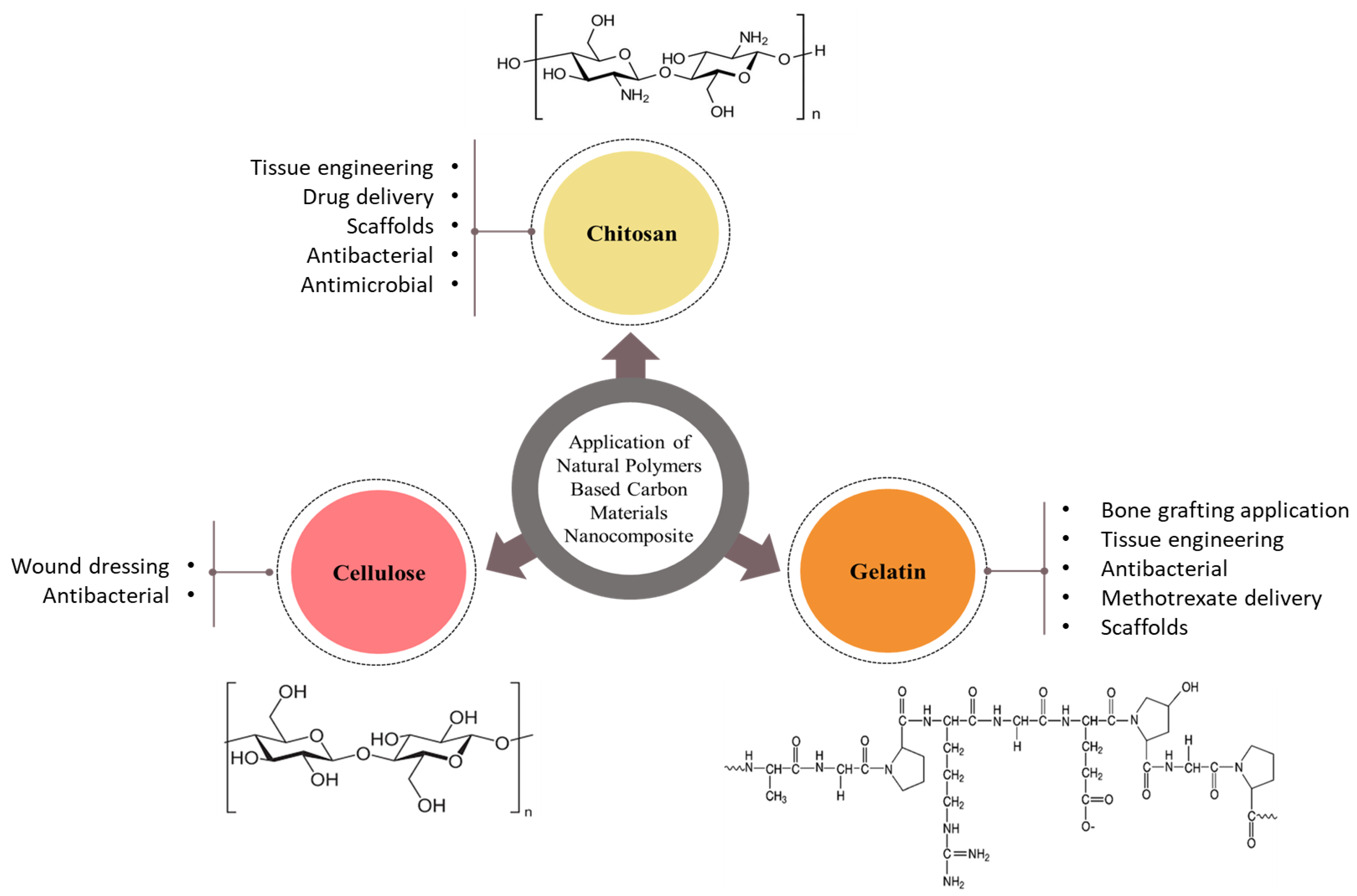 Bioengineering 10 00279 g001