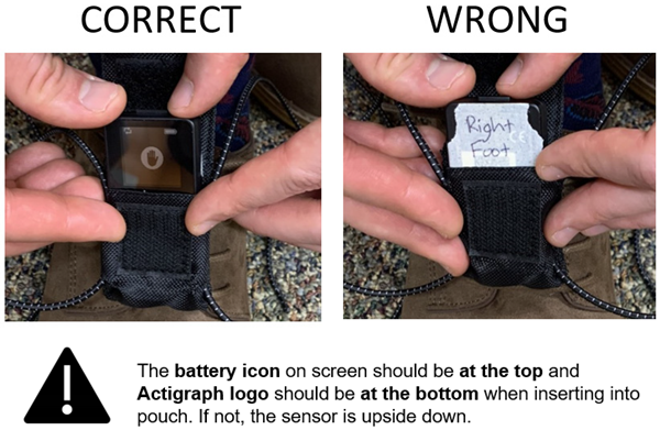 Bioengineering 10 00289 i009