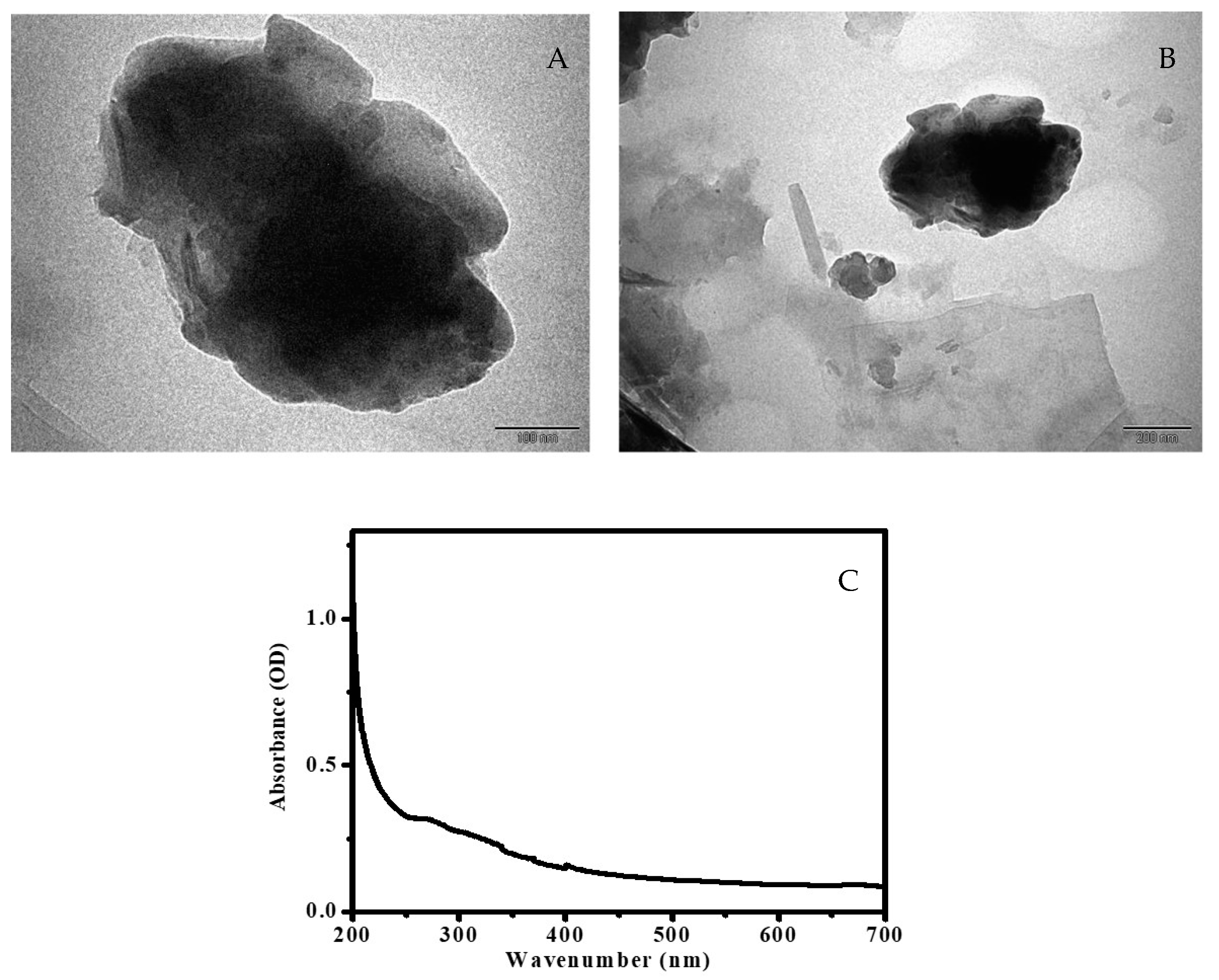 Bioengineering 10 00302 g003