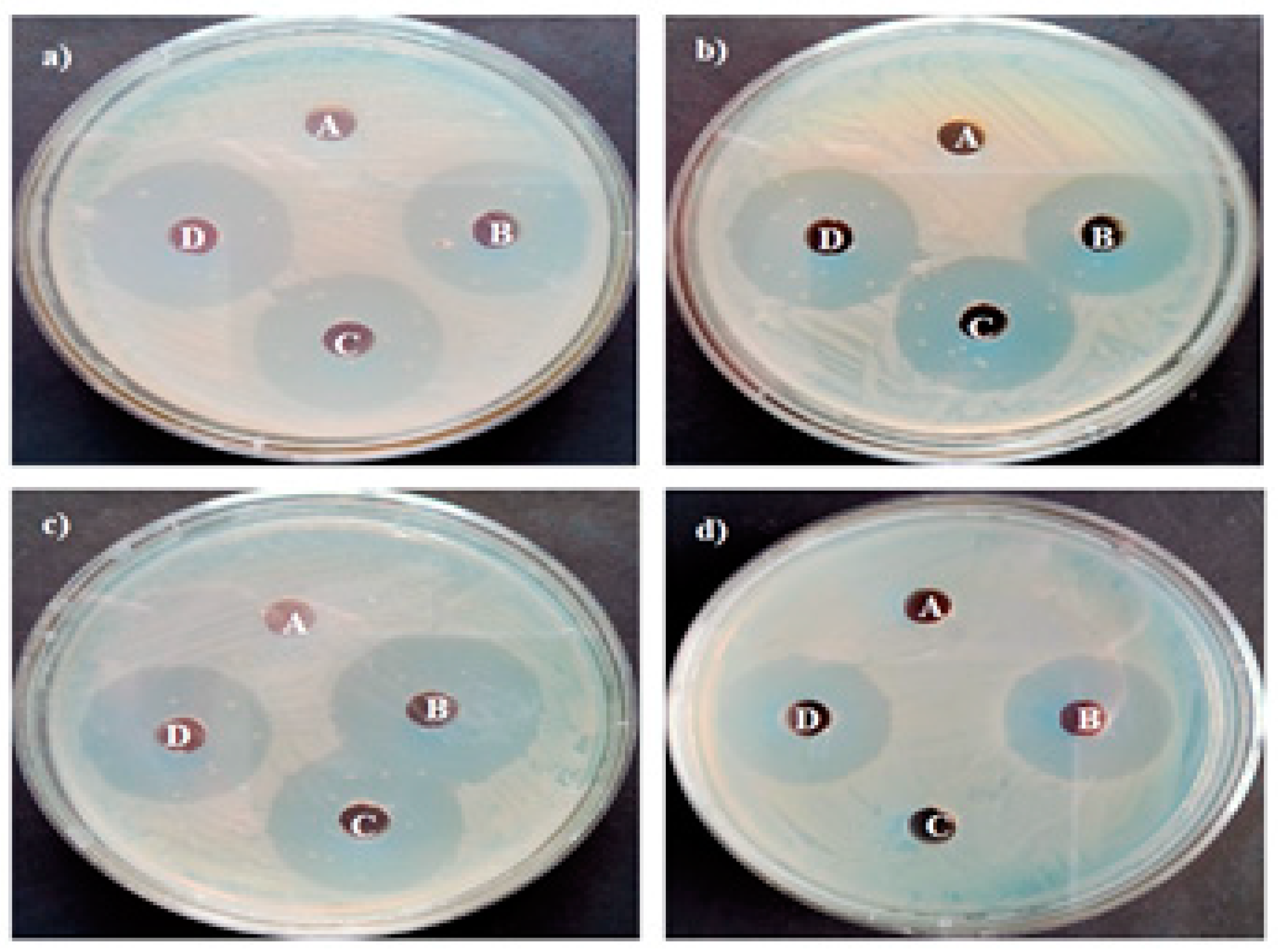 Bioengineering 10 00302 g012