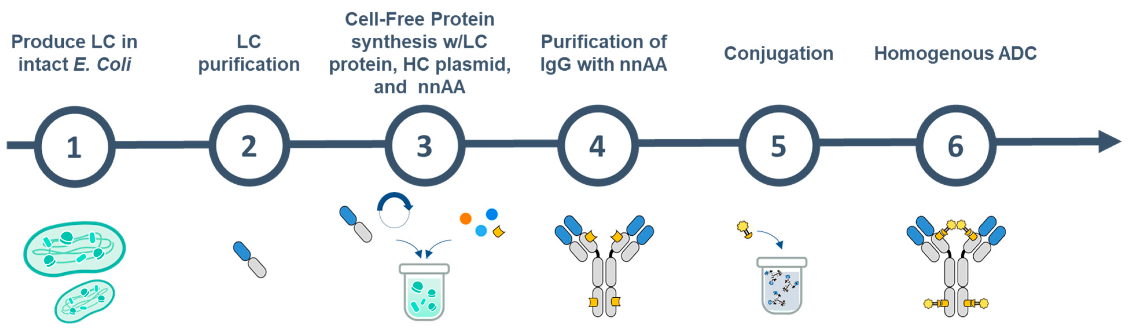 Bioengineering 10 00304 g001