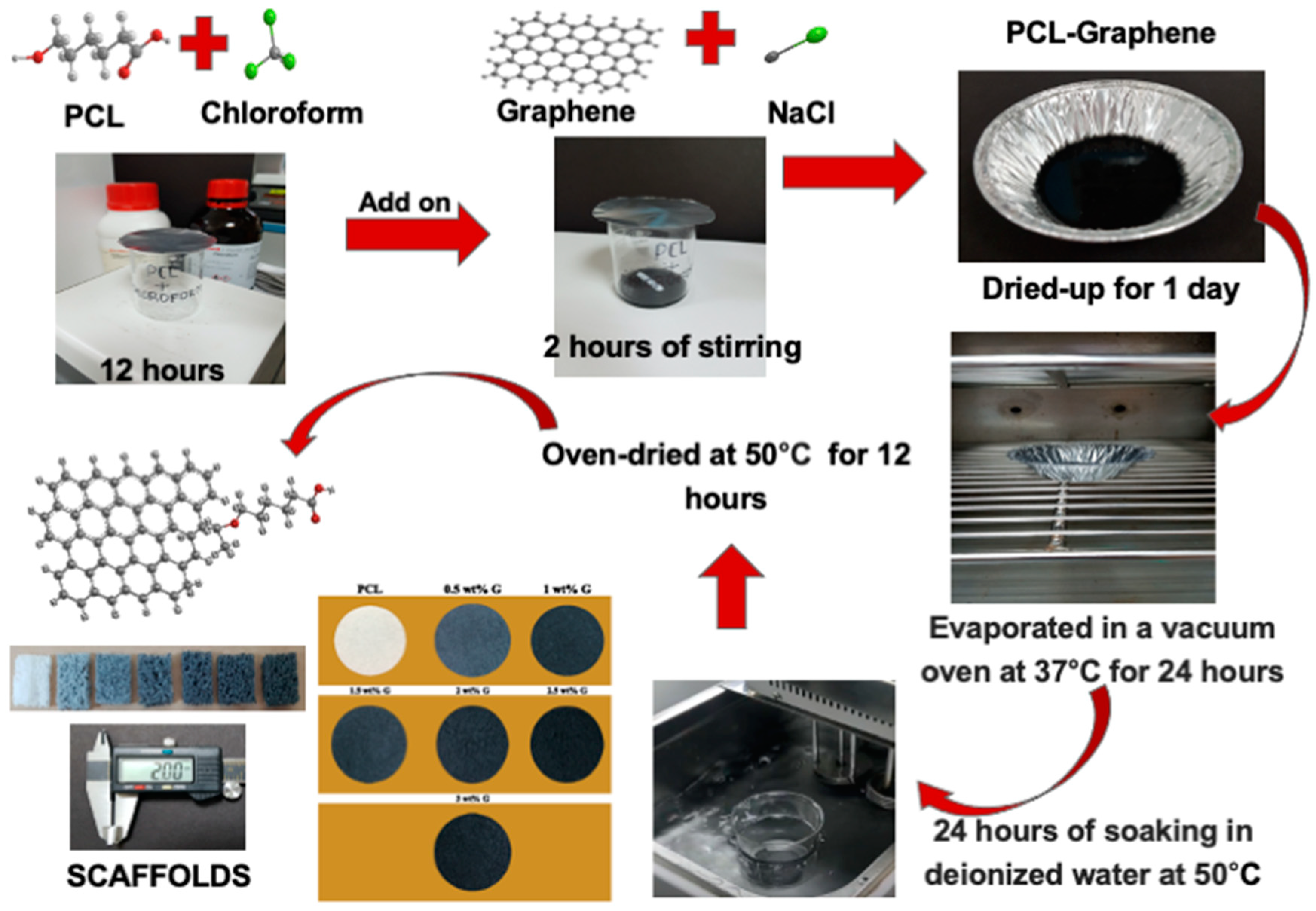 Bioengineering 10 00305 g001