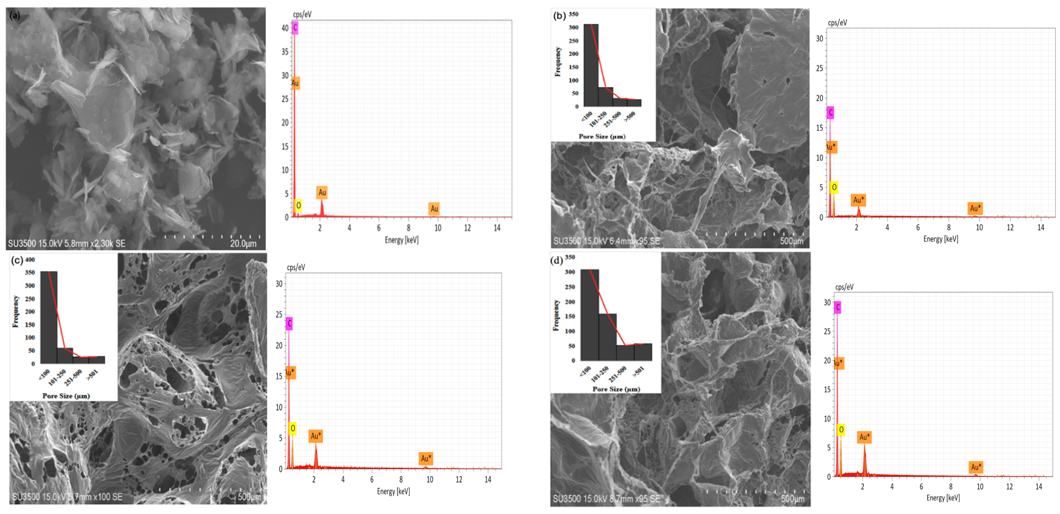 Bioengineering 10 00305 g003a