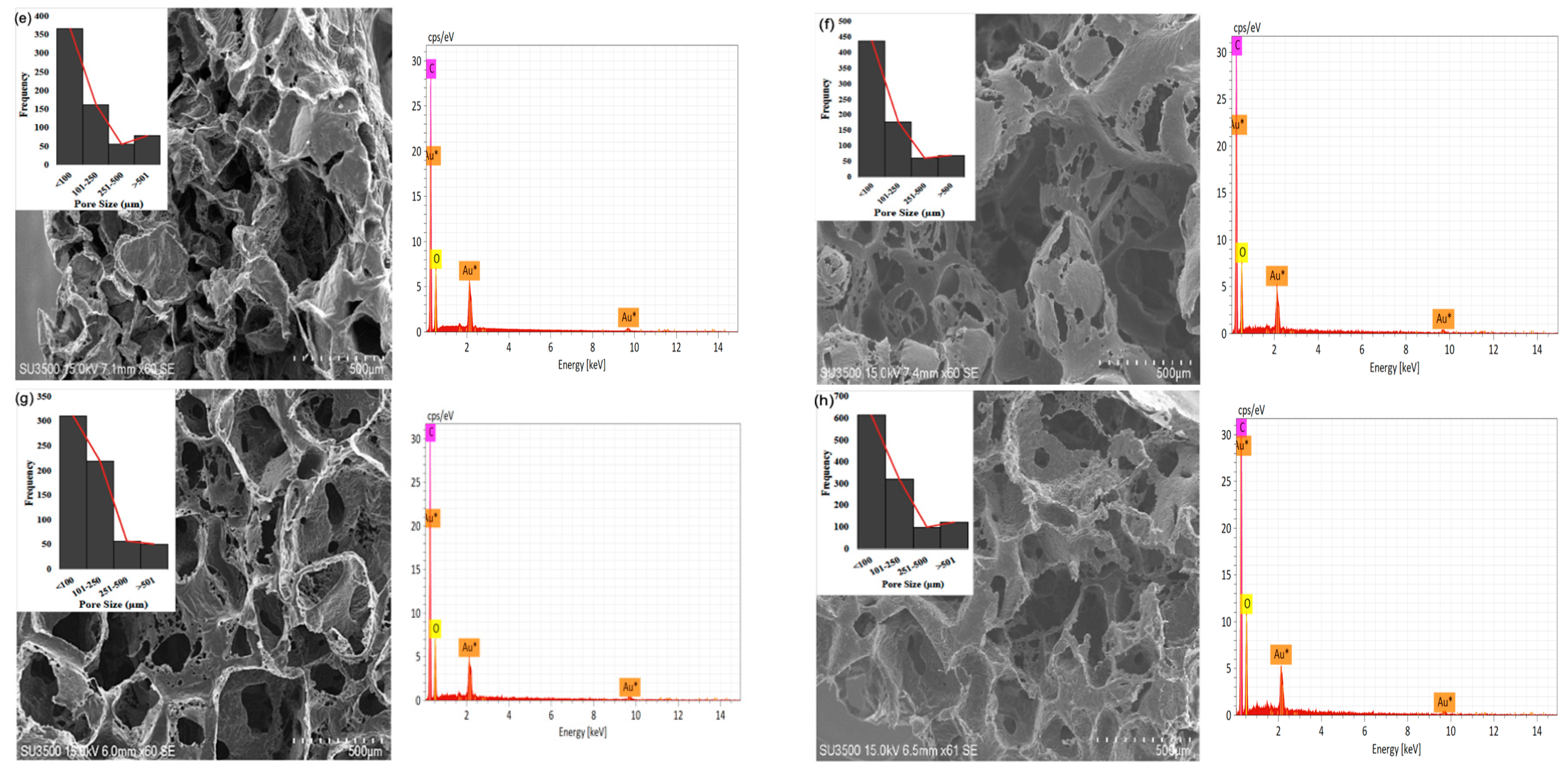 Bioengineering 10 00305 g003b
