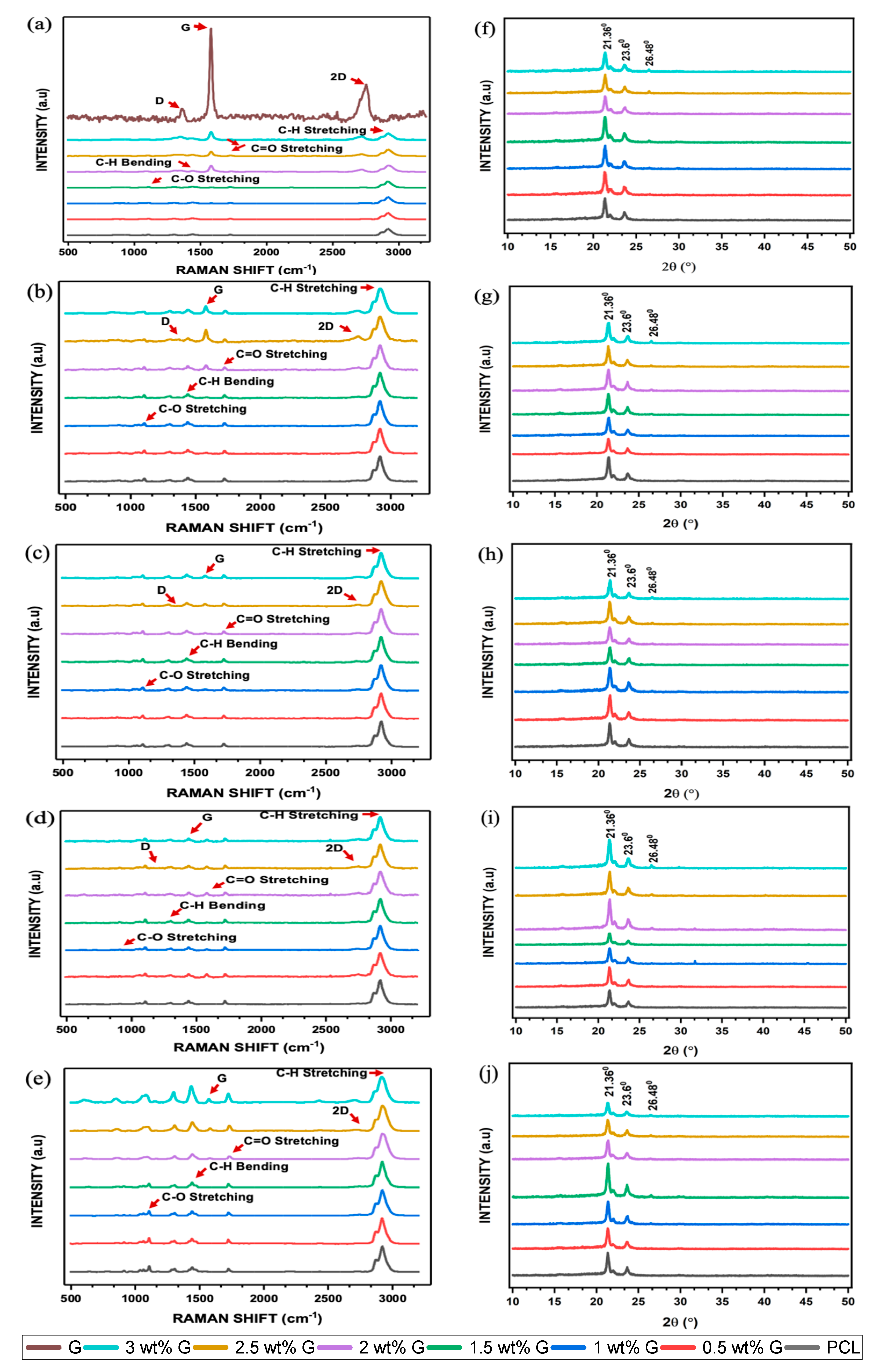 Bioengineering 10 00305 g005
