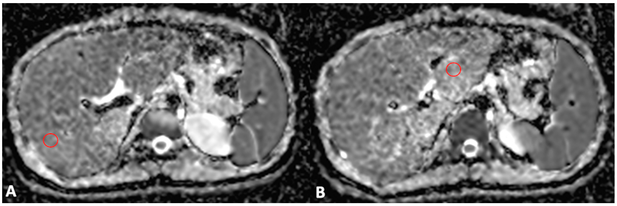 Bioengineering 10 00306 g001