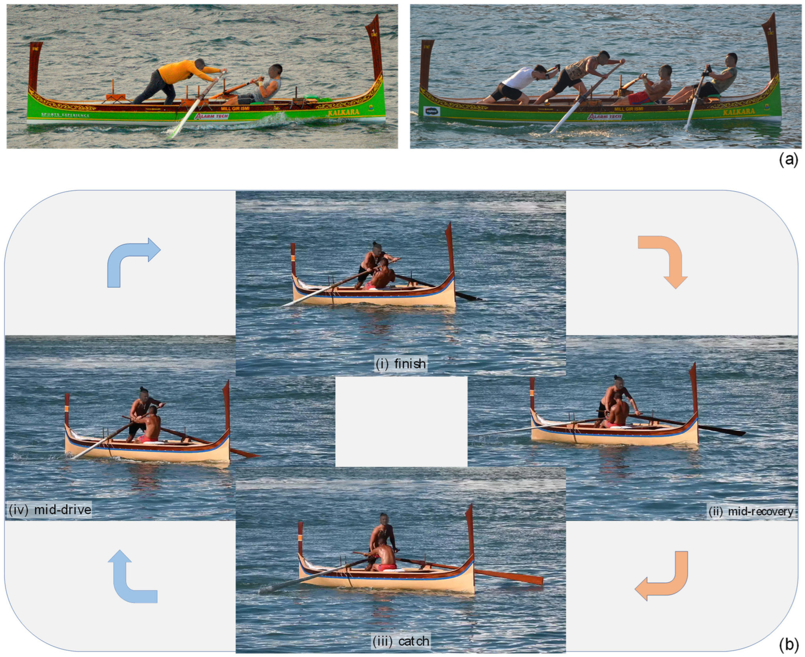 Bioengineering 10 00310 g001 Bioengineering 10 00310 g001