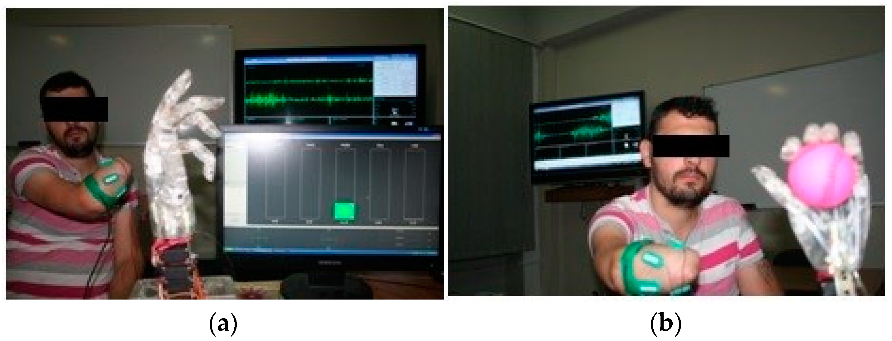 Bioengineering 10 00319 g002