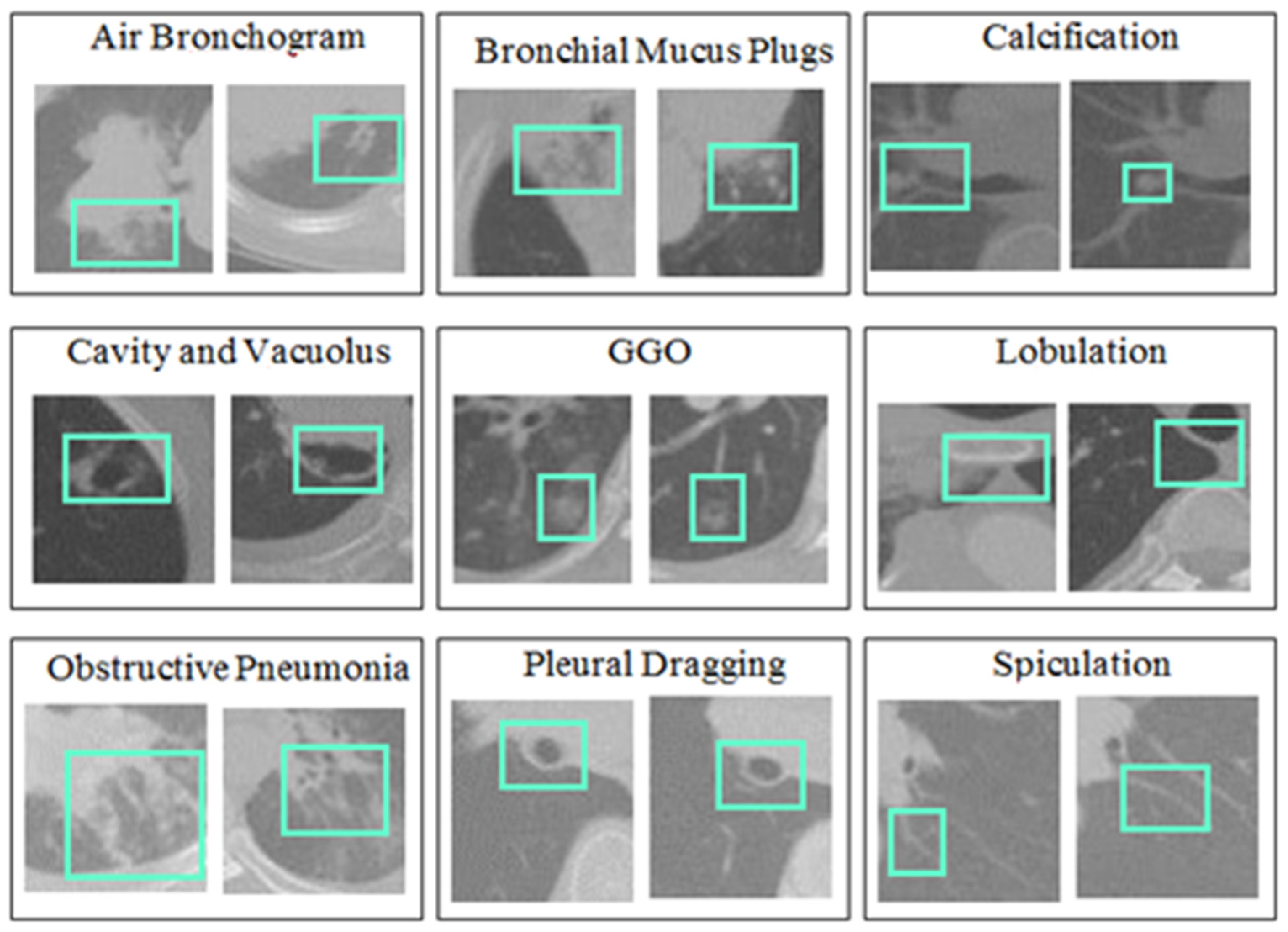 Bioengineering 10 00320 g005 Bioengineering 10 00320 g005