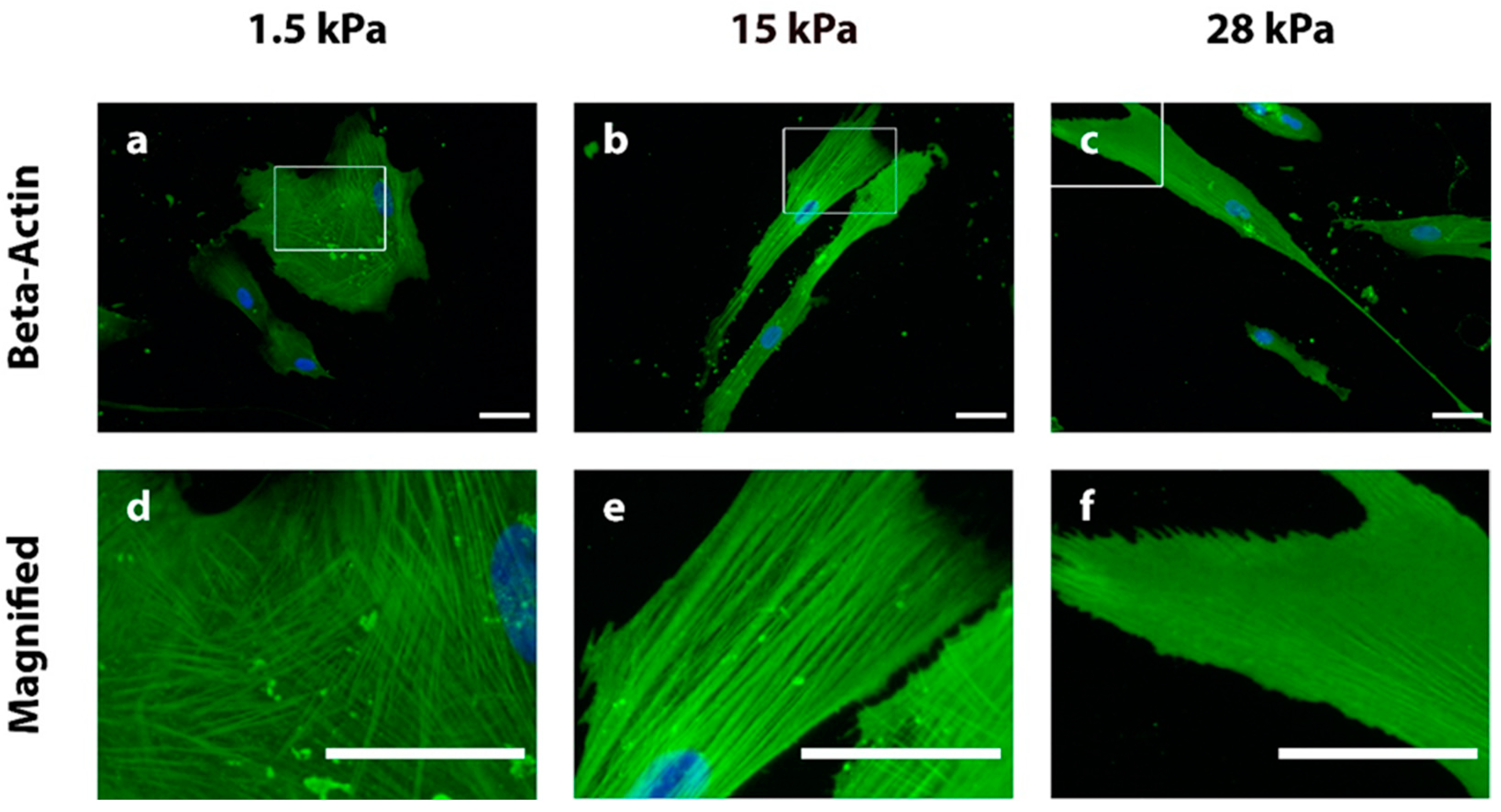 Bioengineering 10 00323 g002