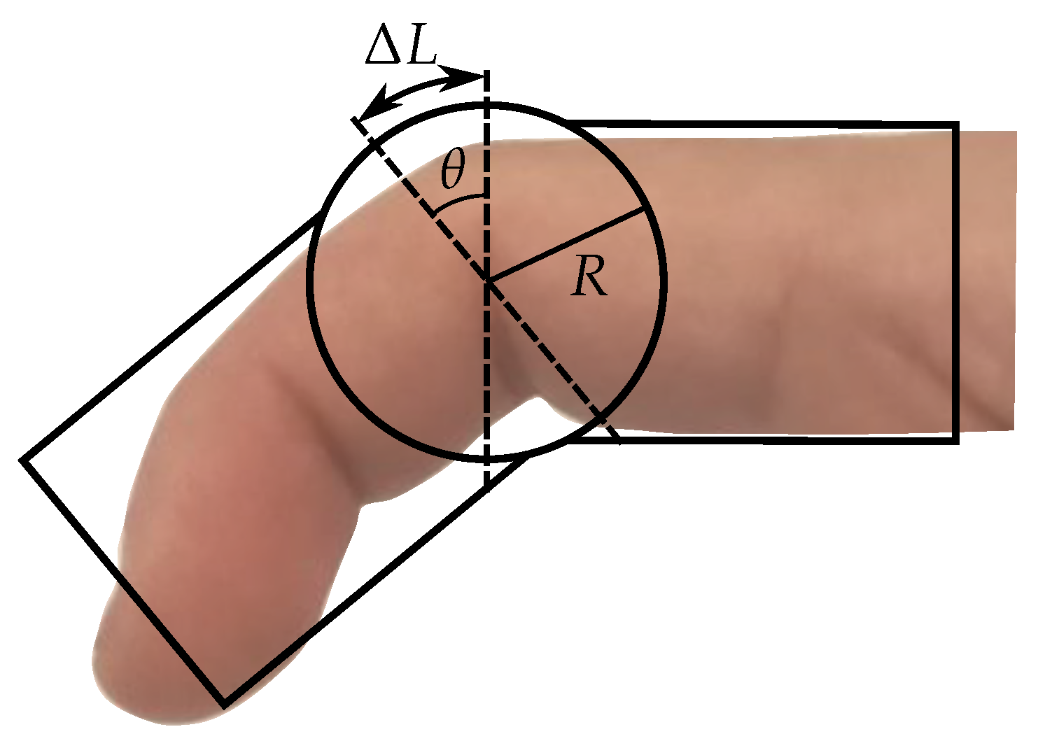 Bioengineering 10 00324 g003
