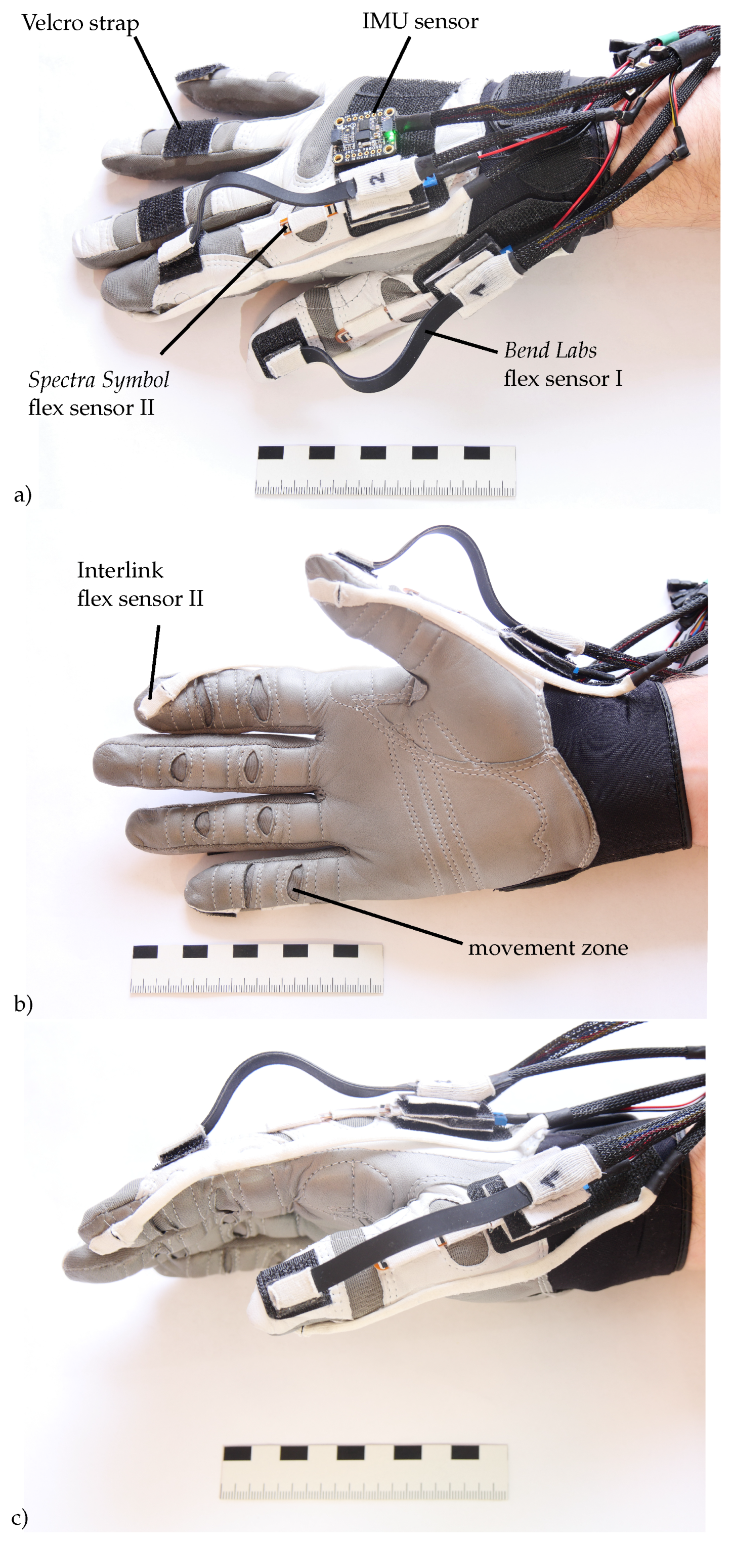 Bioengineering 10 00324 g005