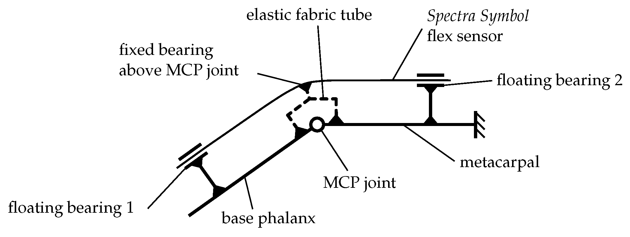 Bioengineering 10 00324 g006
