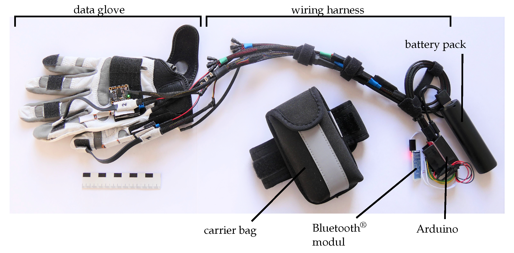 Bioengineering 10 00324 g007