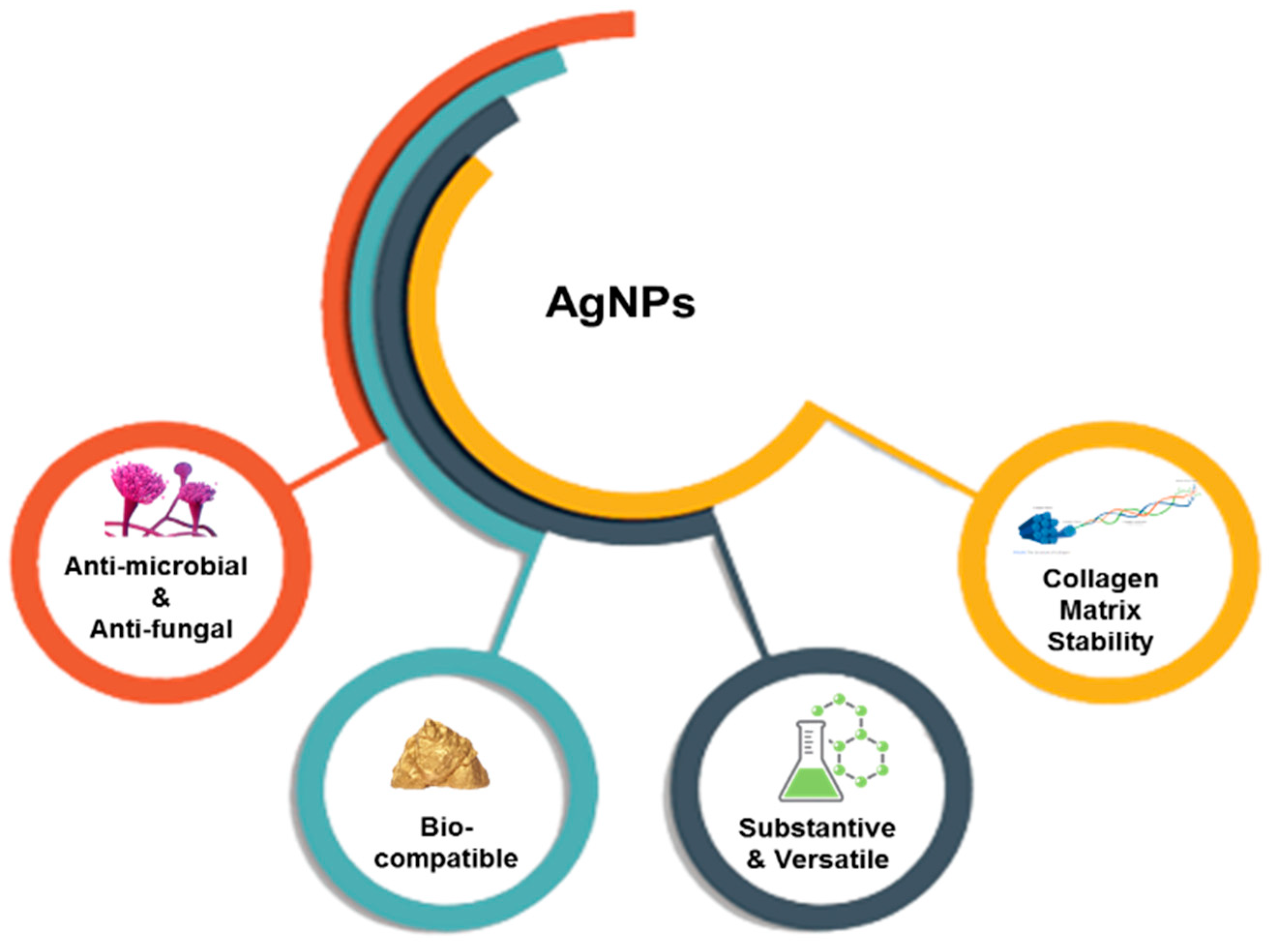 Bioengineering 10 00327 g004