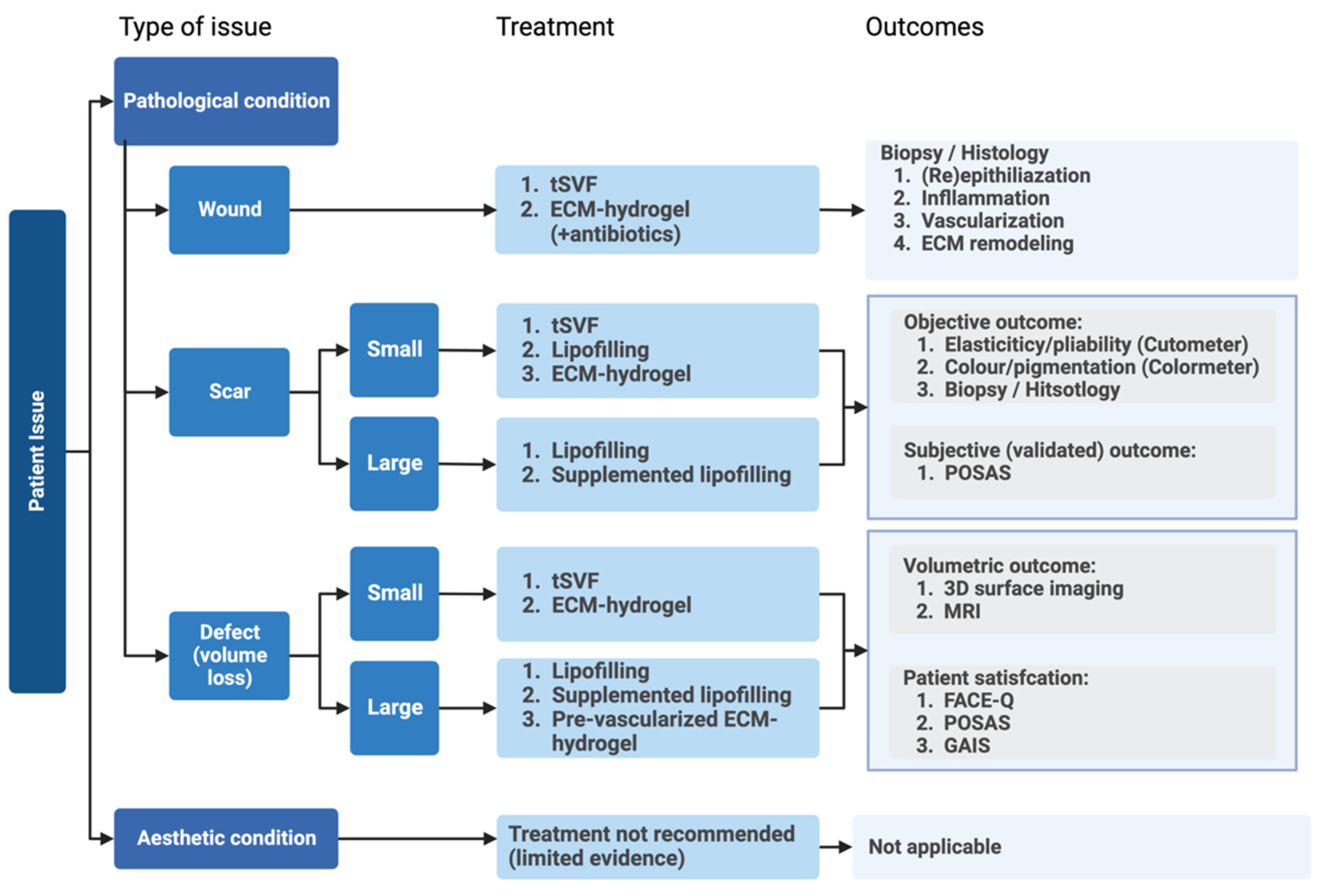 Bioengineering 10 00328 g001
