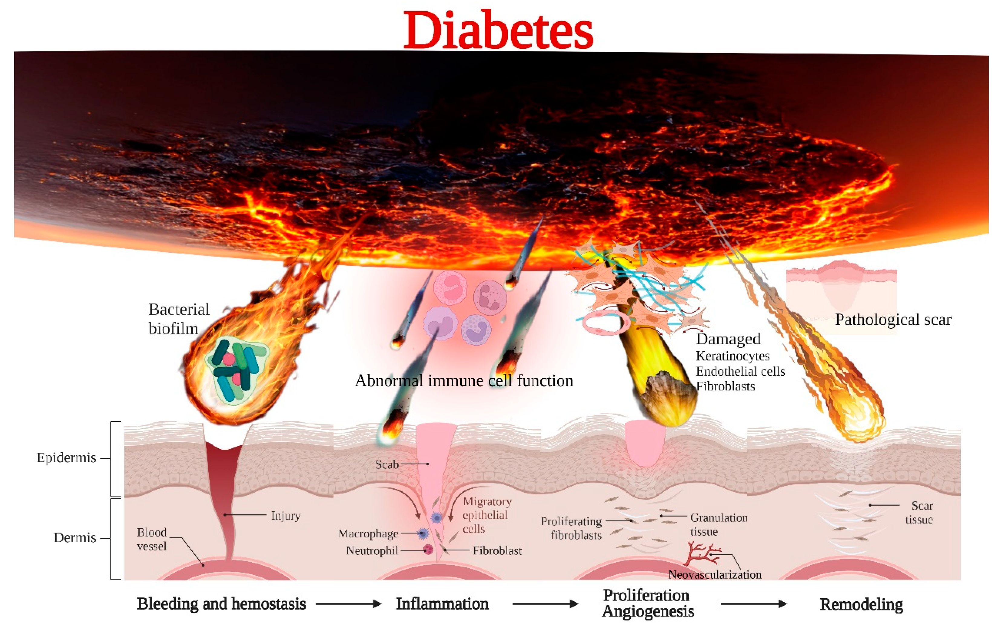 Bioengineering 10 00330 g002