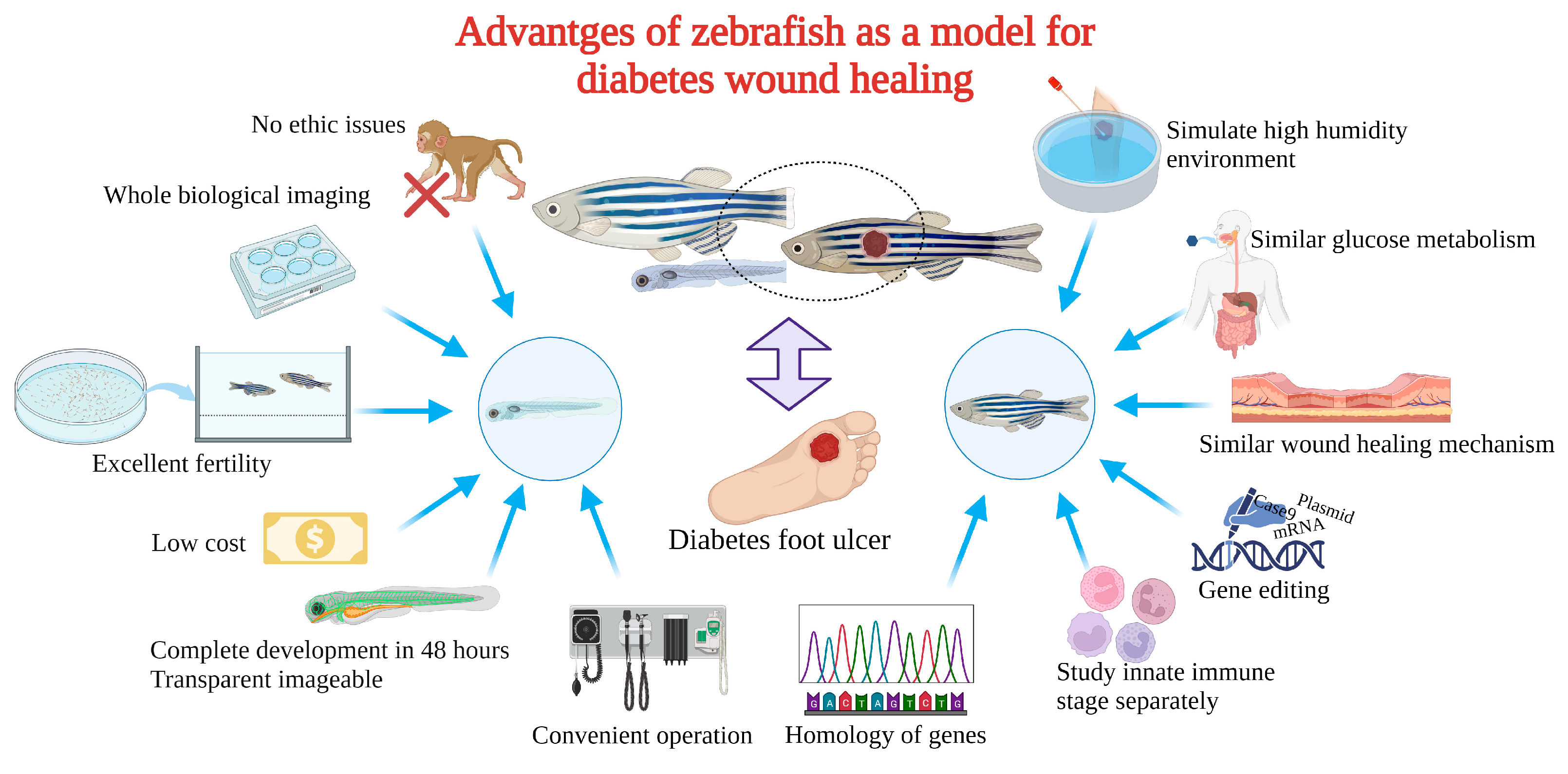 Bioengineering 10 00330 g003