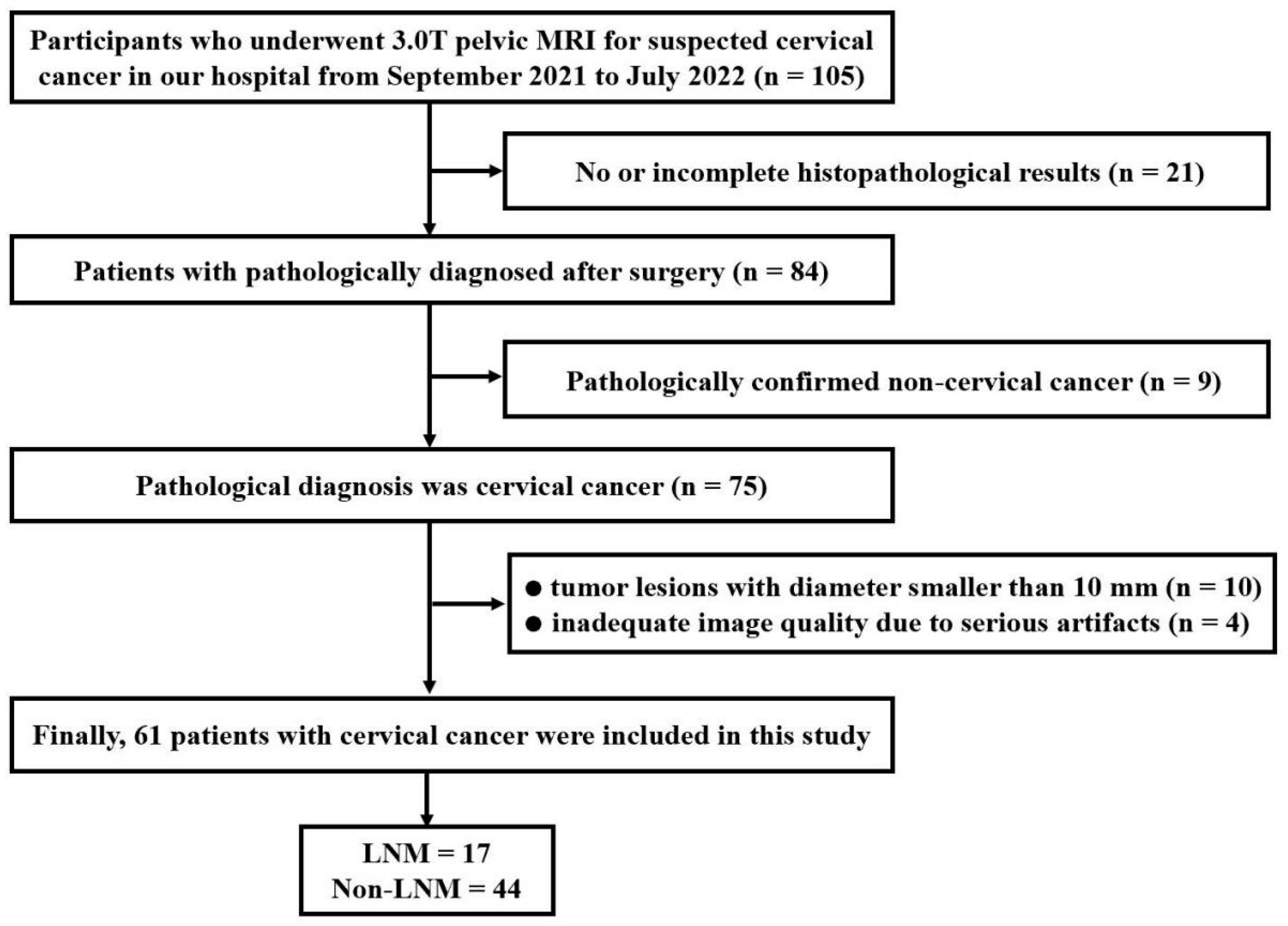 Bioengineering 10 00331 g001